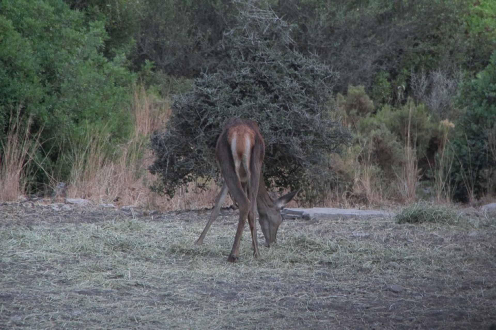 Talo sisään Los Barrios, Andalusia 10699448