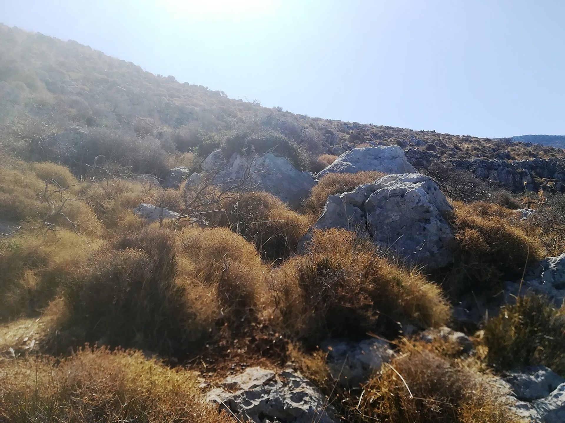 Land i Kokkino Chorio,  10699554