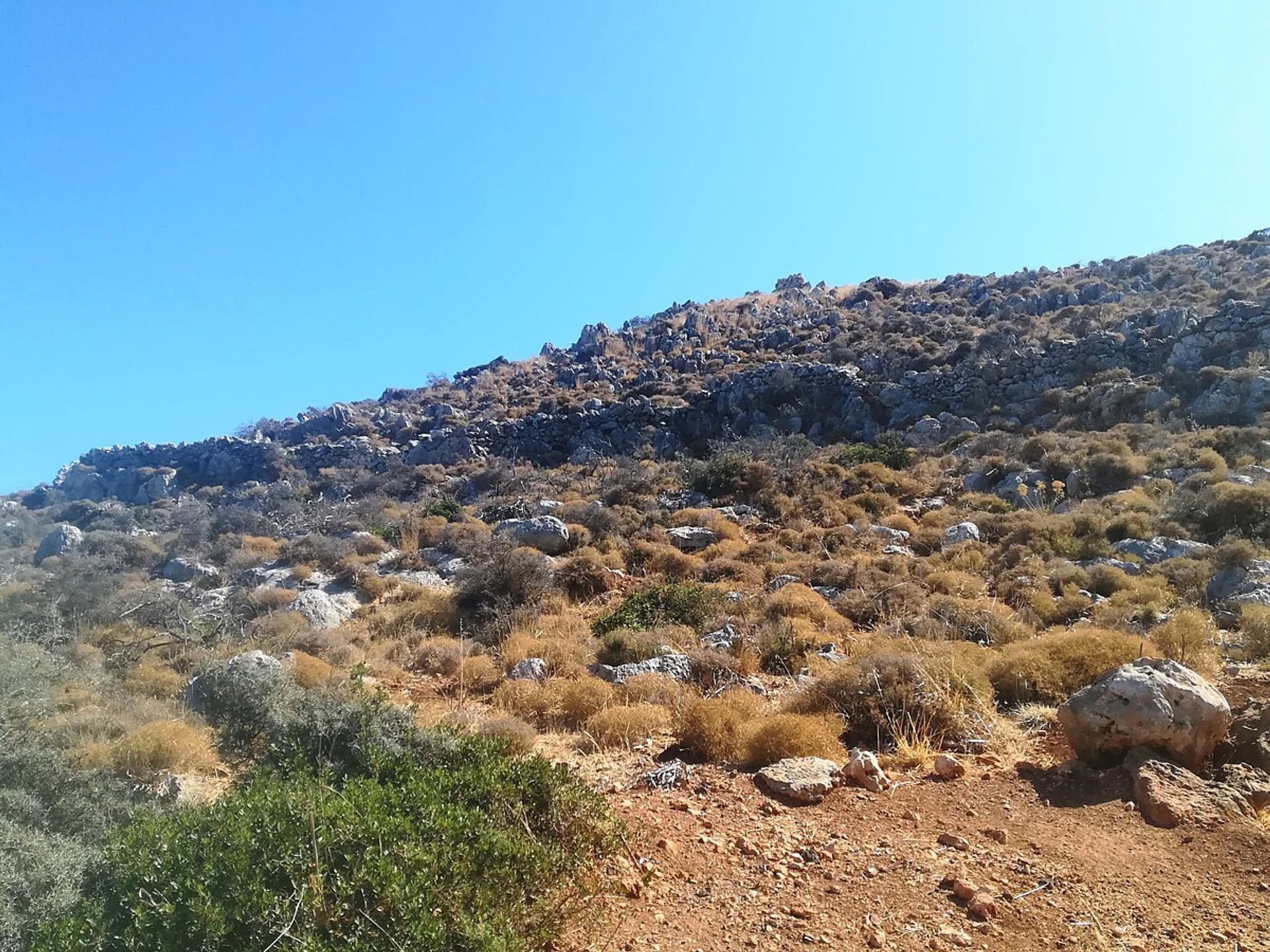 Land im Kokkino Chorio,  10699554