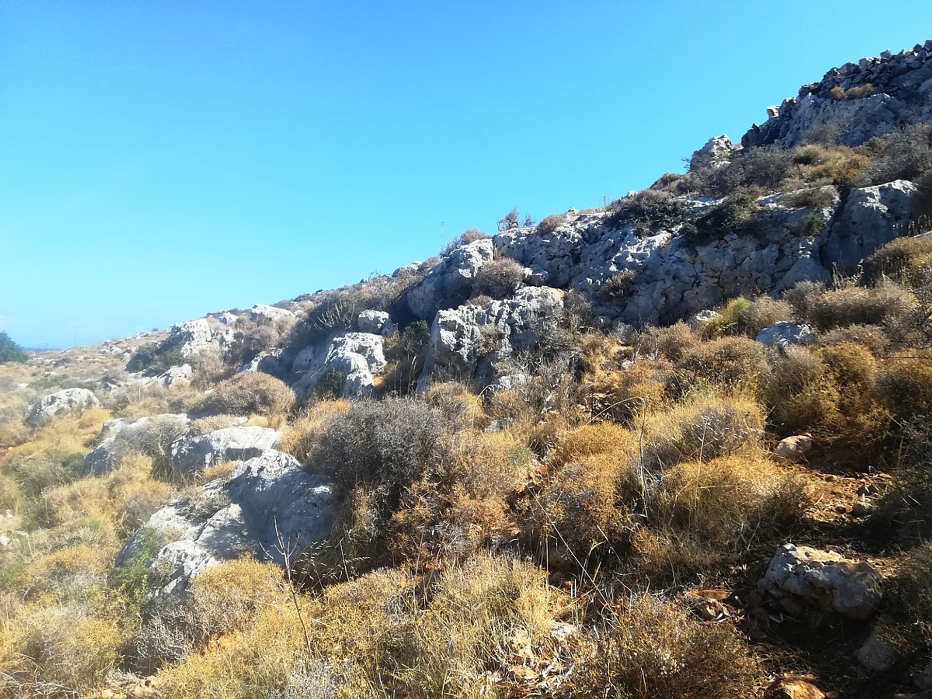 Land im Kokkino Chorio,  10699554