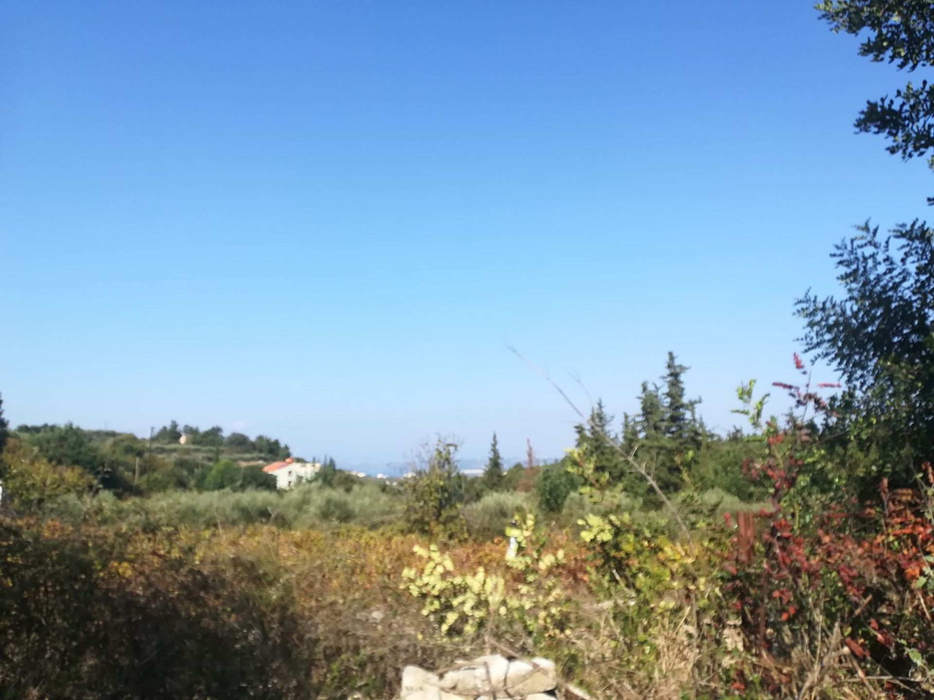 Land i Kefalas, Kriti 10699561