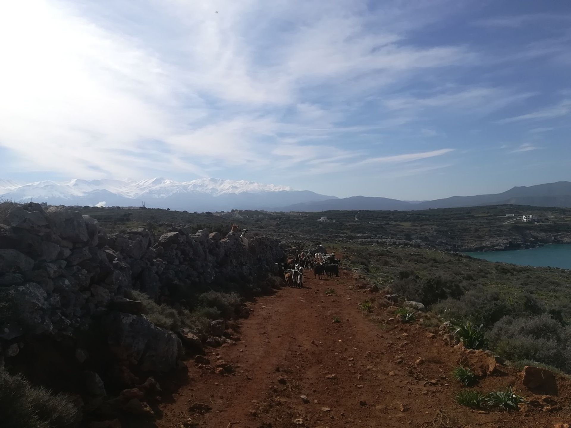 Land in Kokkino Chorio,  10699582