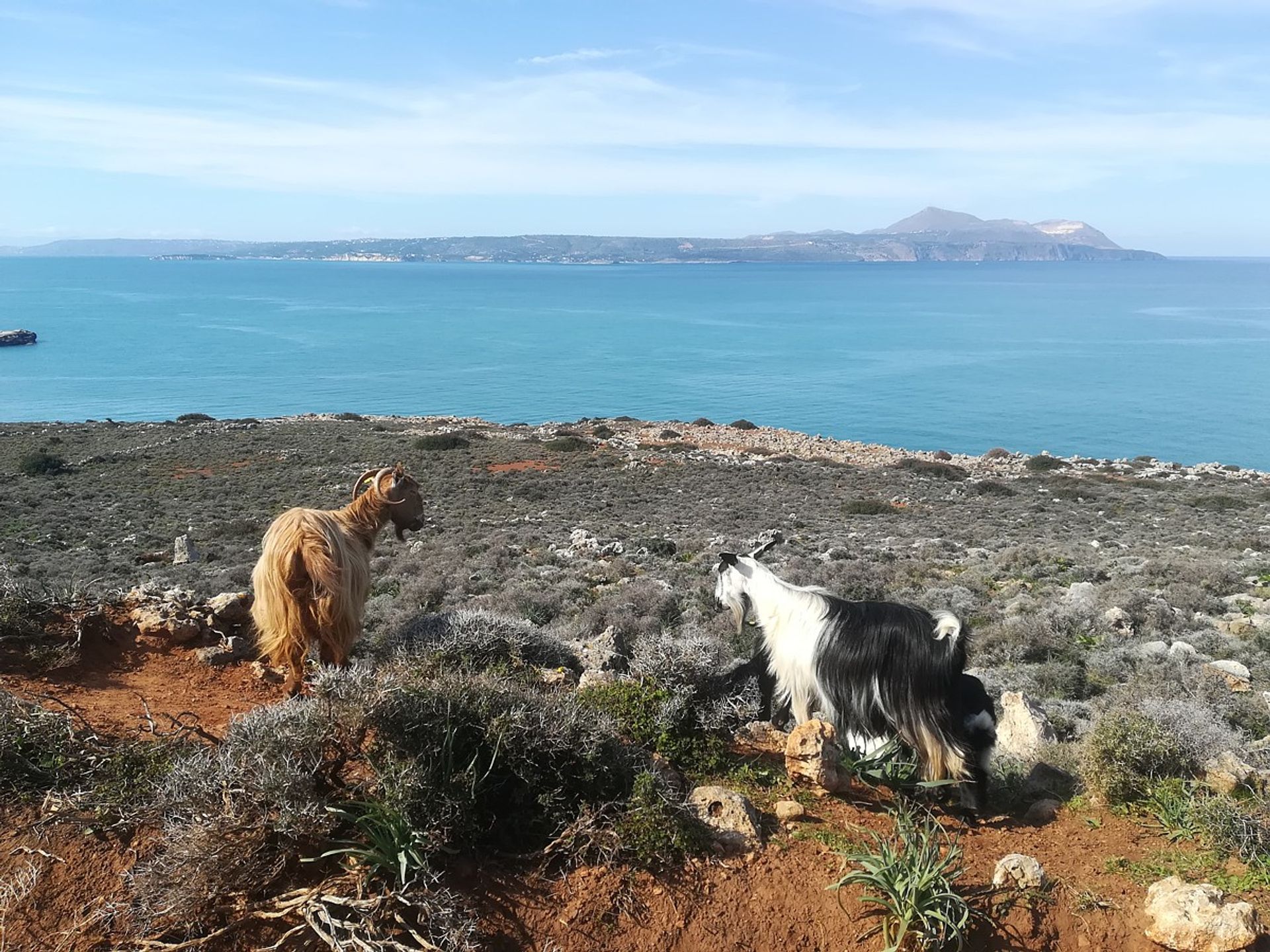 Tierra en Kokkino Chorio,  10699582