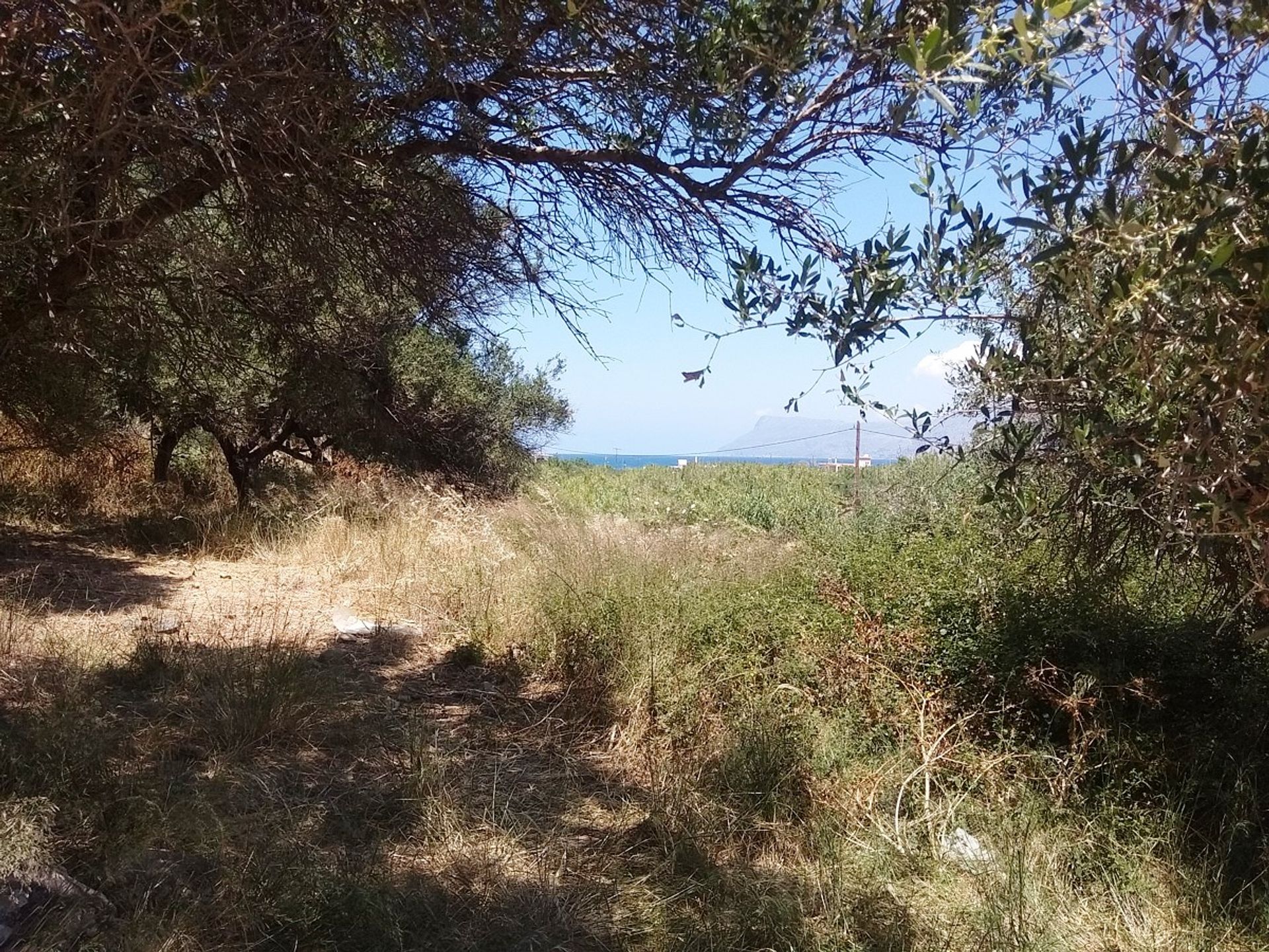 Land in Kissamos, Kriti 10699598