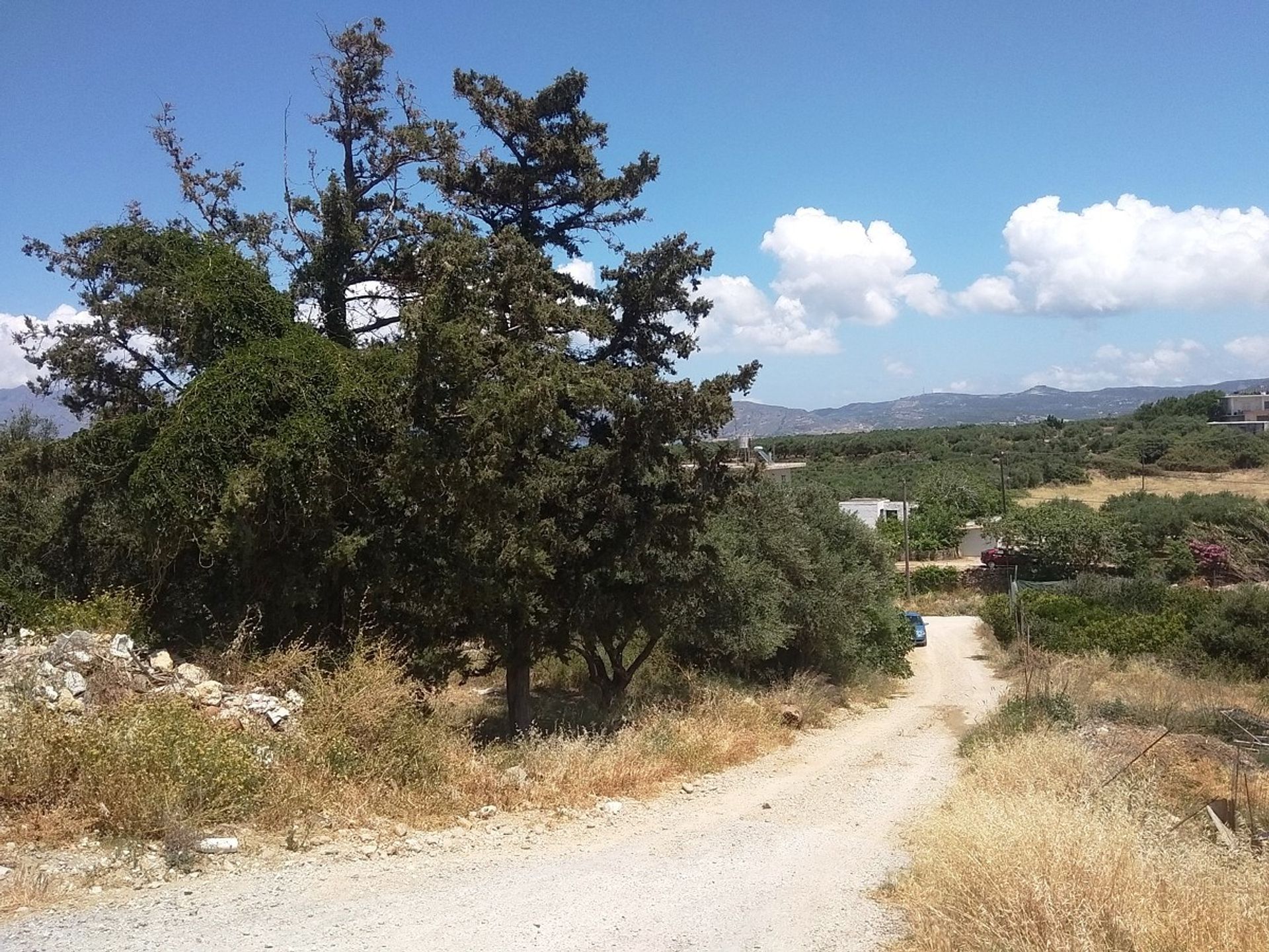 Land in Kissamos, Kriti 10699598