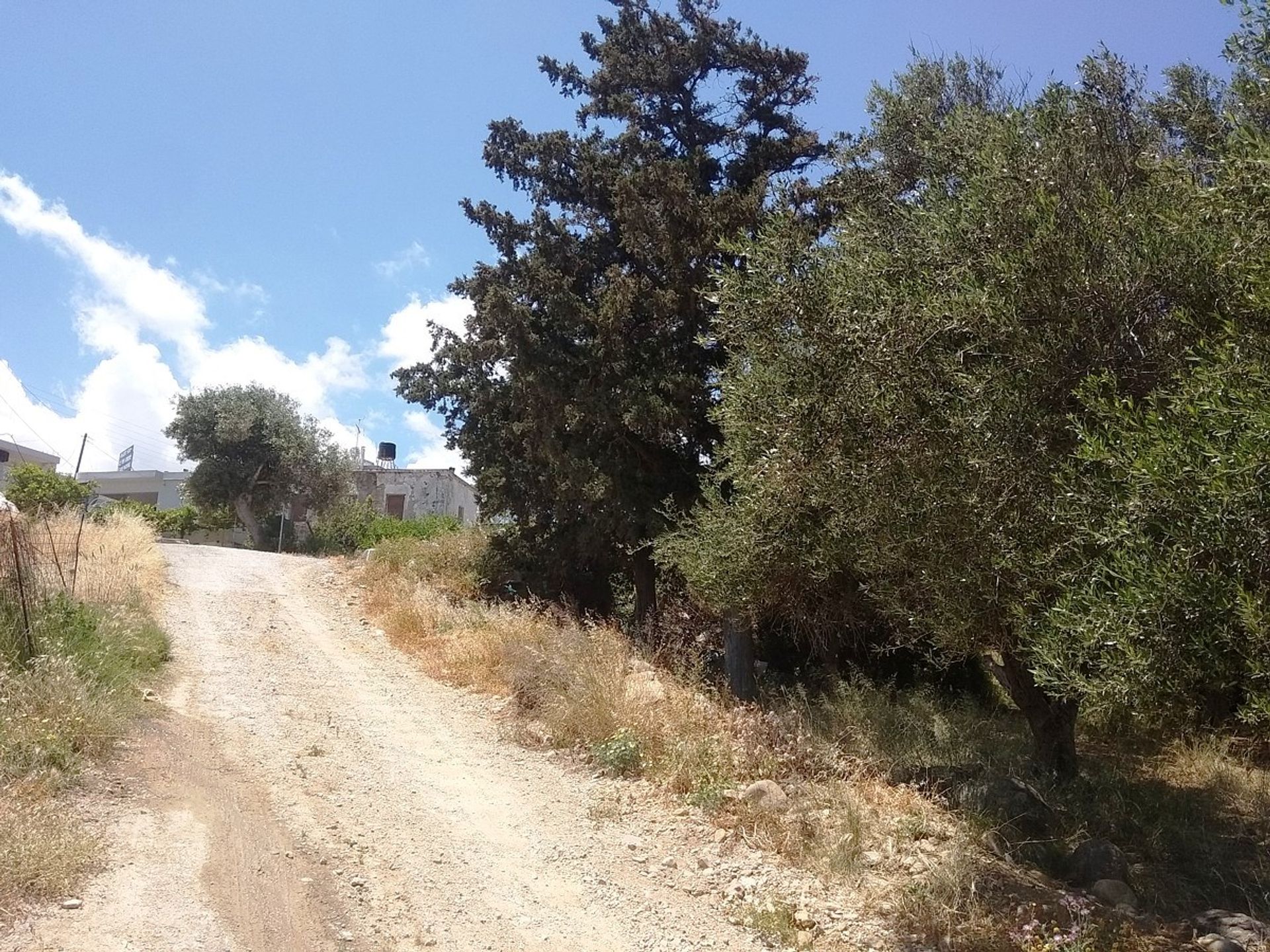 Land in Kissamos, Kriti 10699598