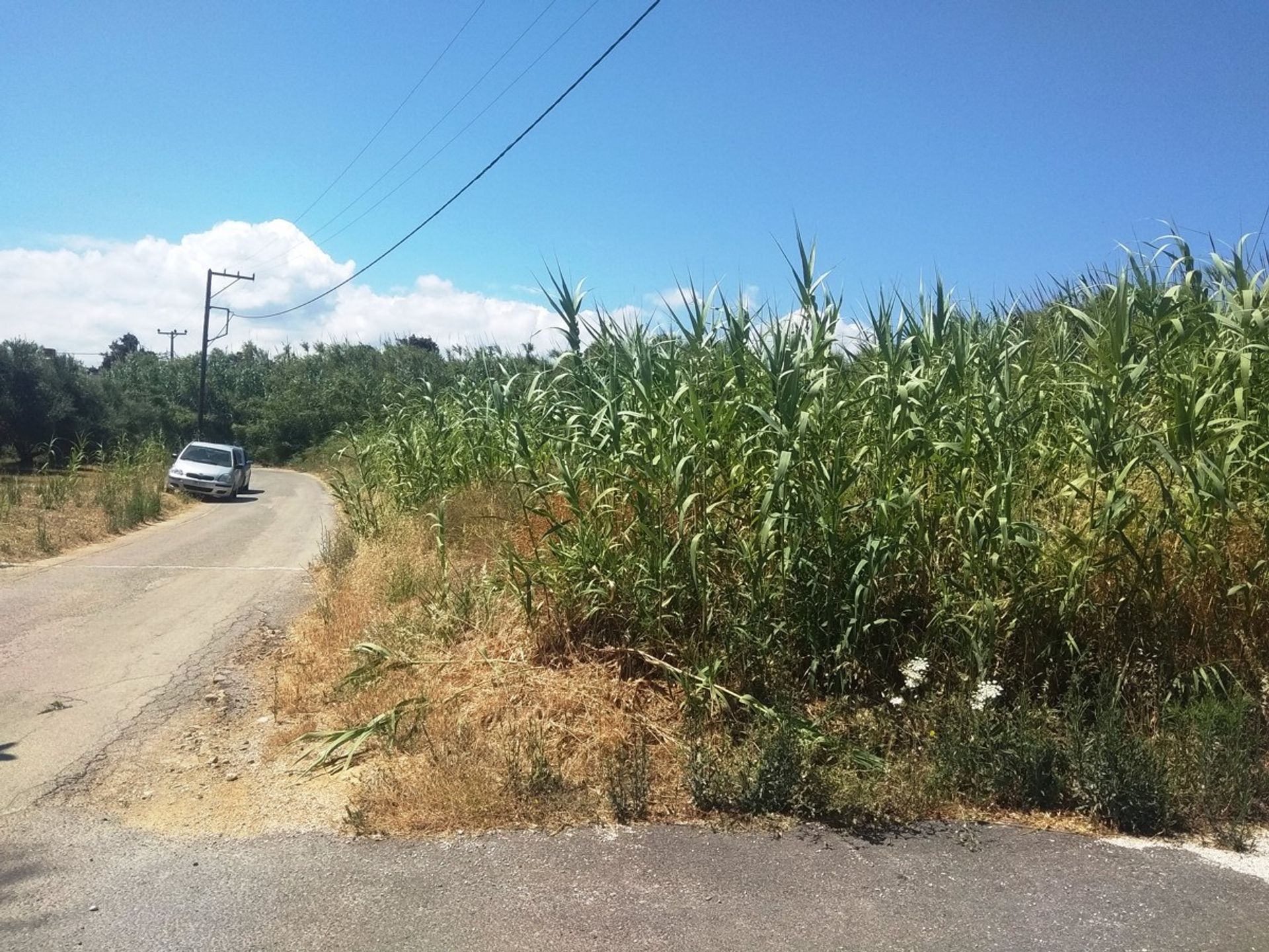 Land in Platanias, Kriti 10699615