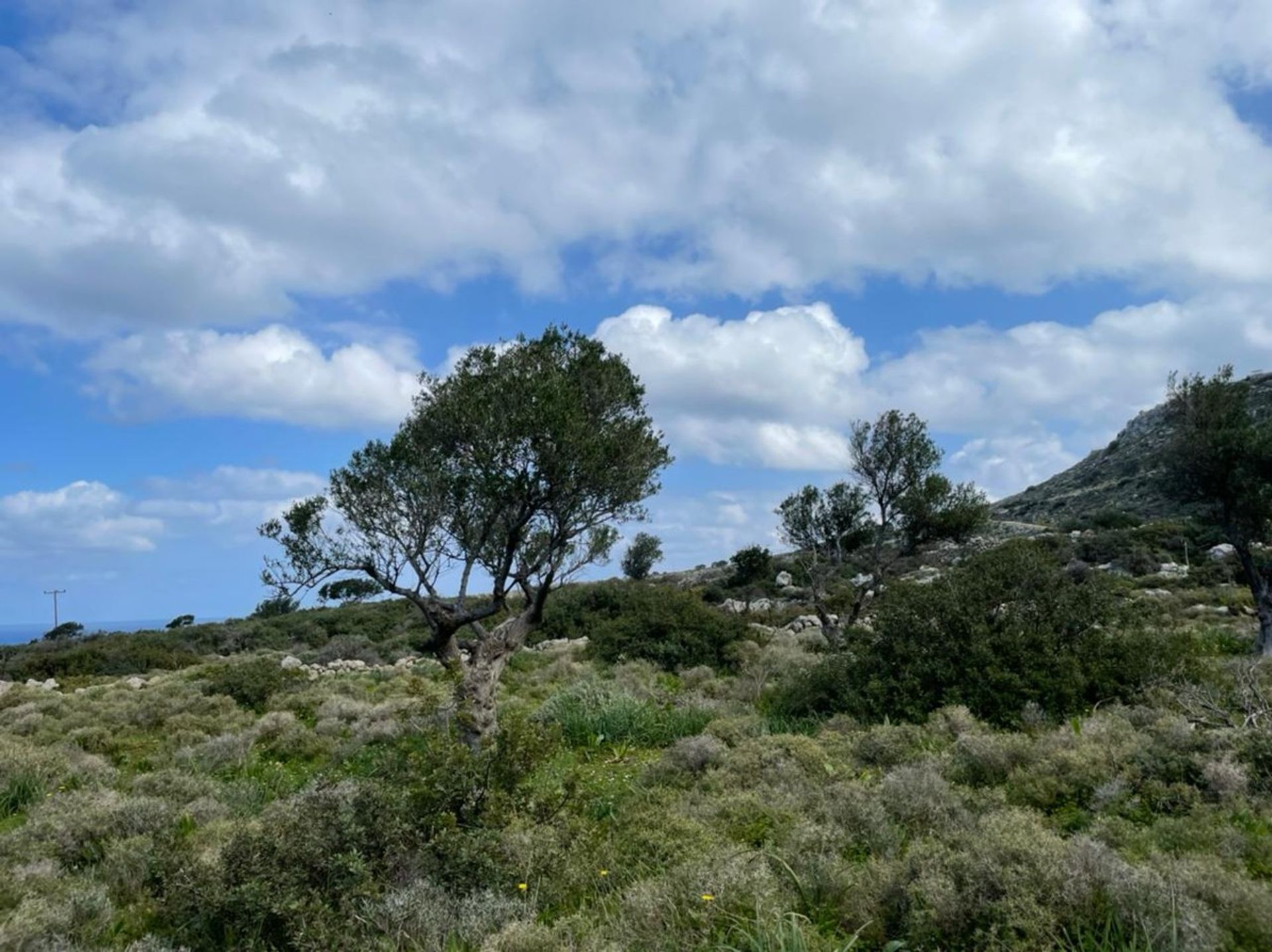 Γη σε Κεφαλάς, Κρήτης 10699675