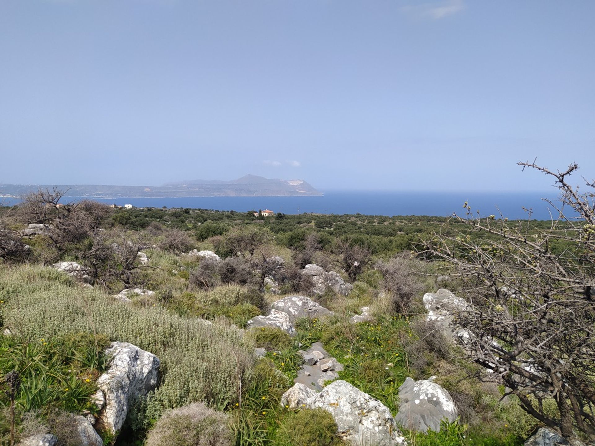 Terra no Kokkino Chorio,  10699682