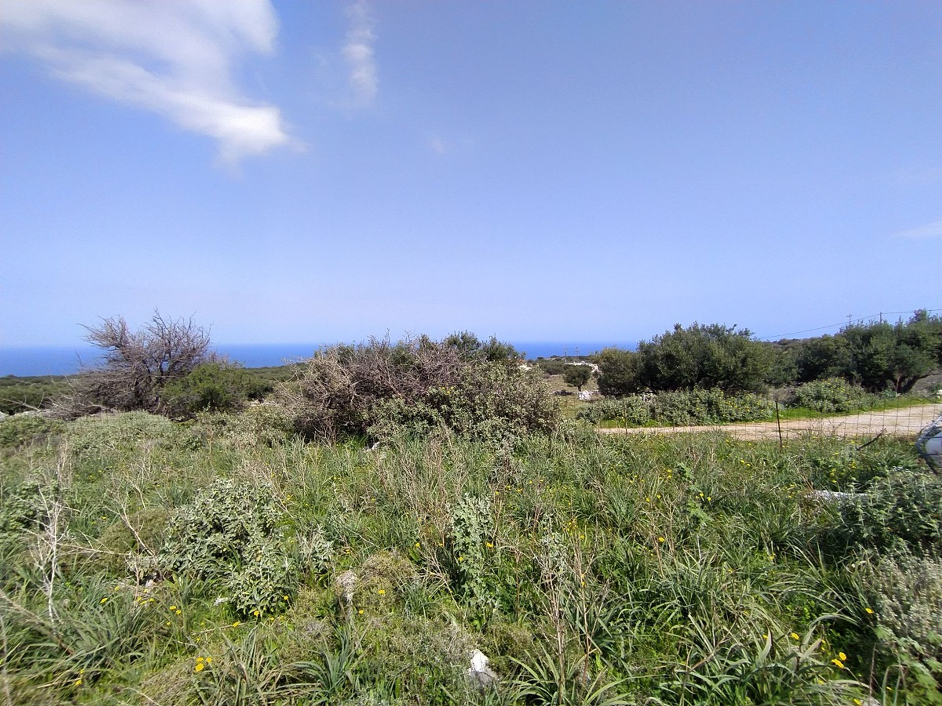 Terra no Kokkino Chorio,  10699682