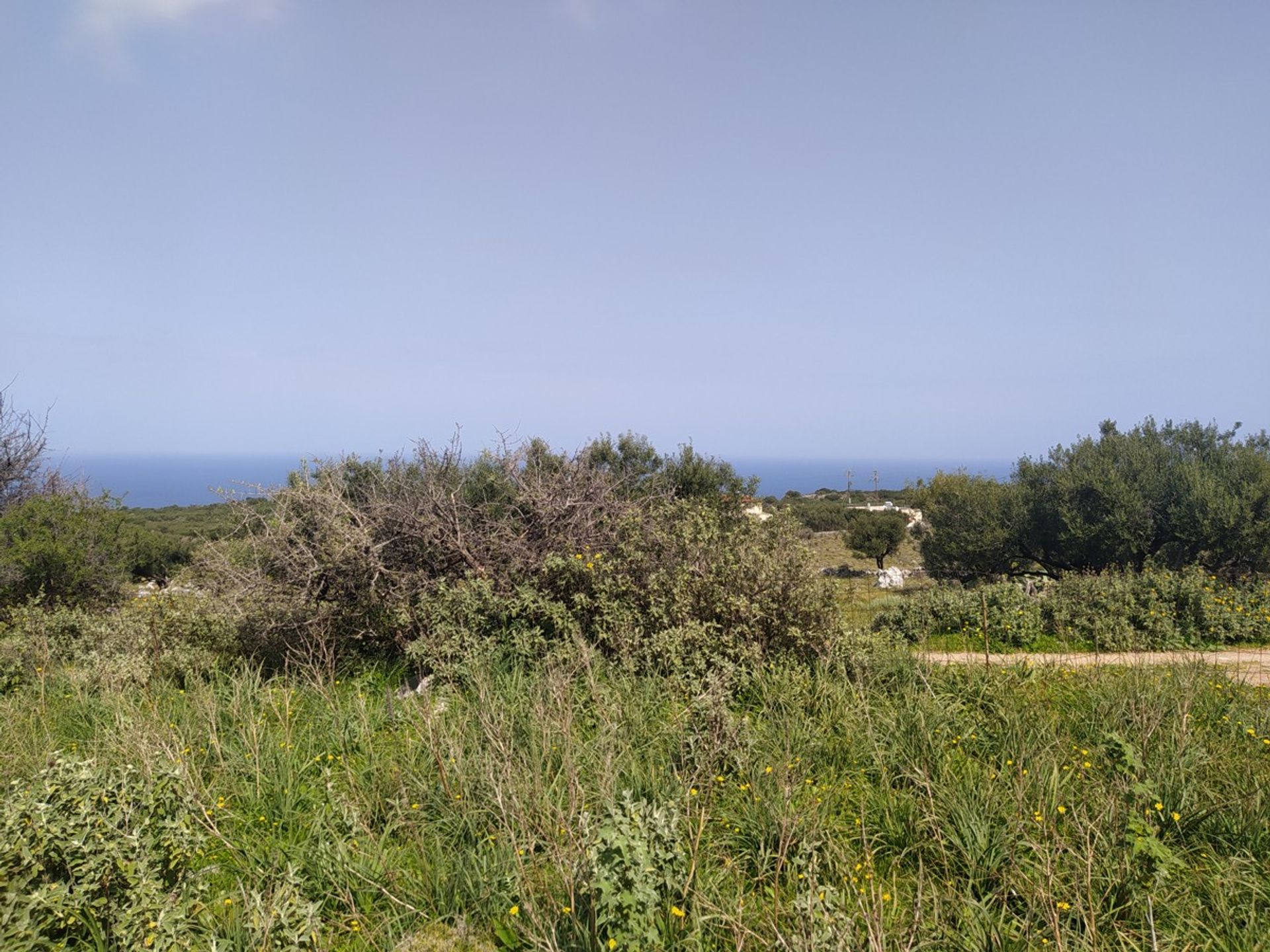 Terra no Kokkino Chorio,  10699682