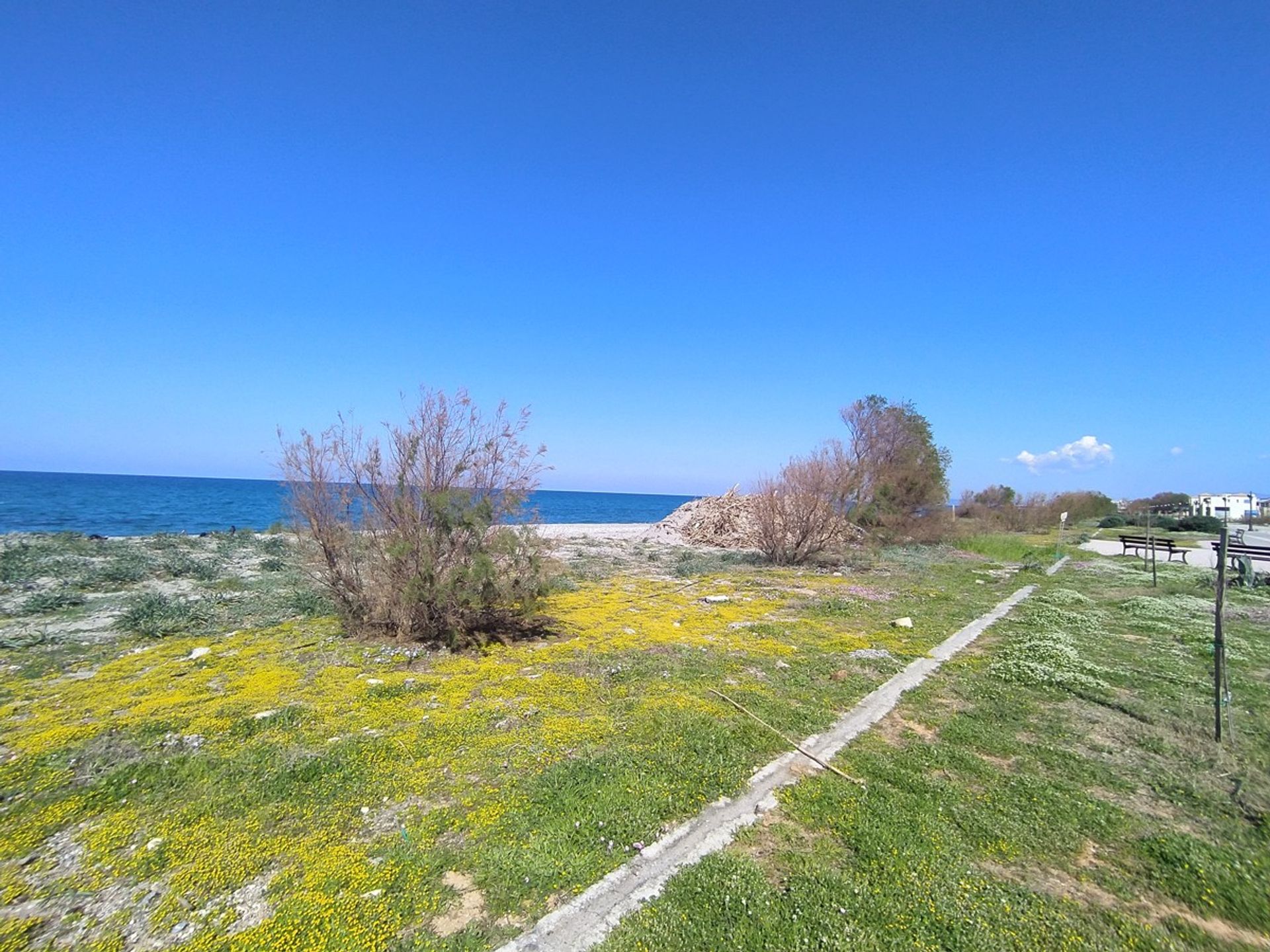 Land i Platanias,  10699692