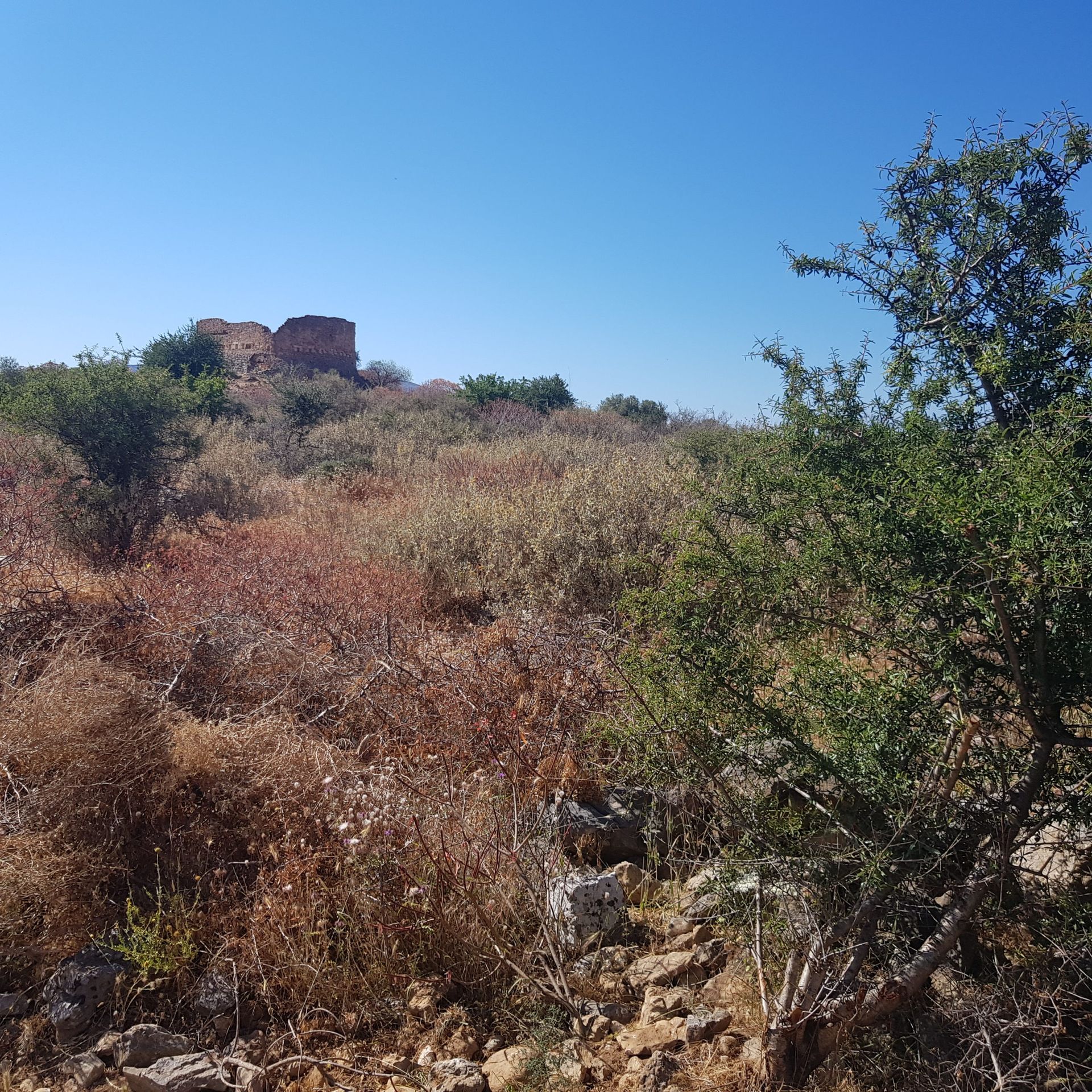 Land im Nipos, Kriti 10699745