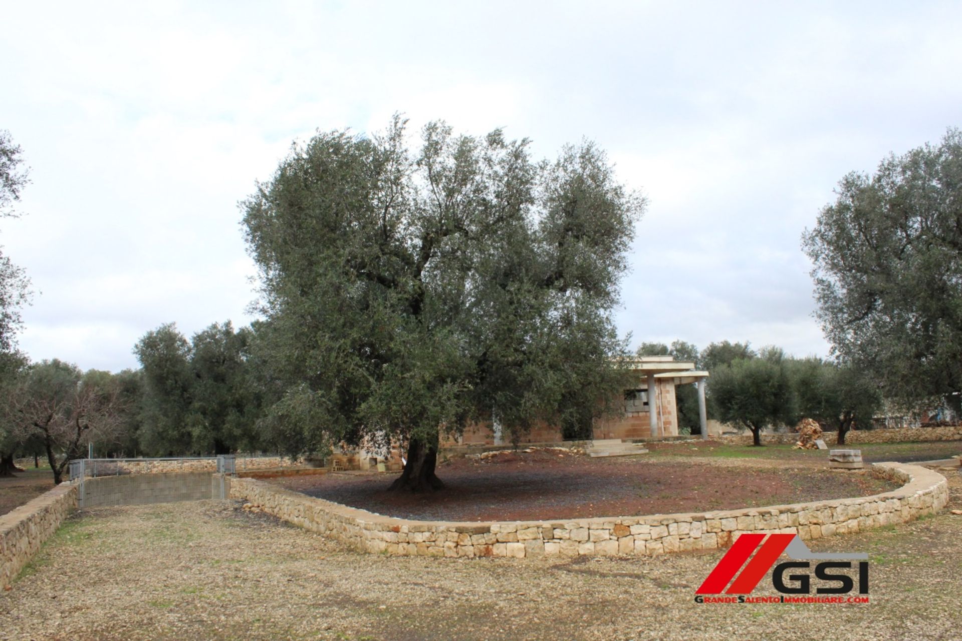 Haus im San Michele Salentino, Apulia 10699798