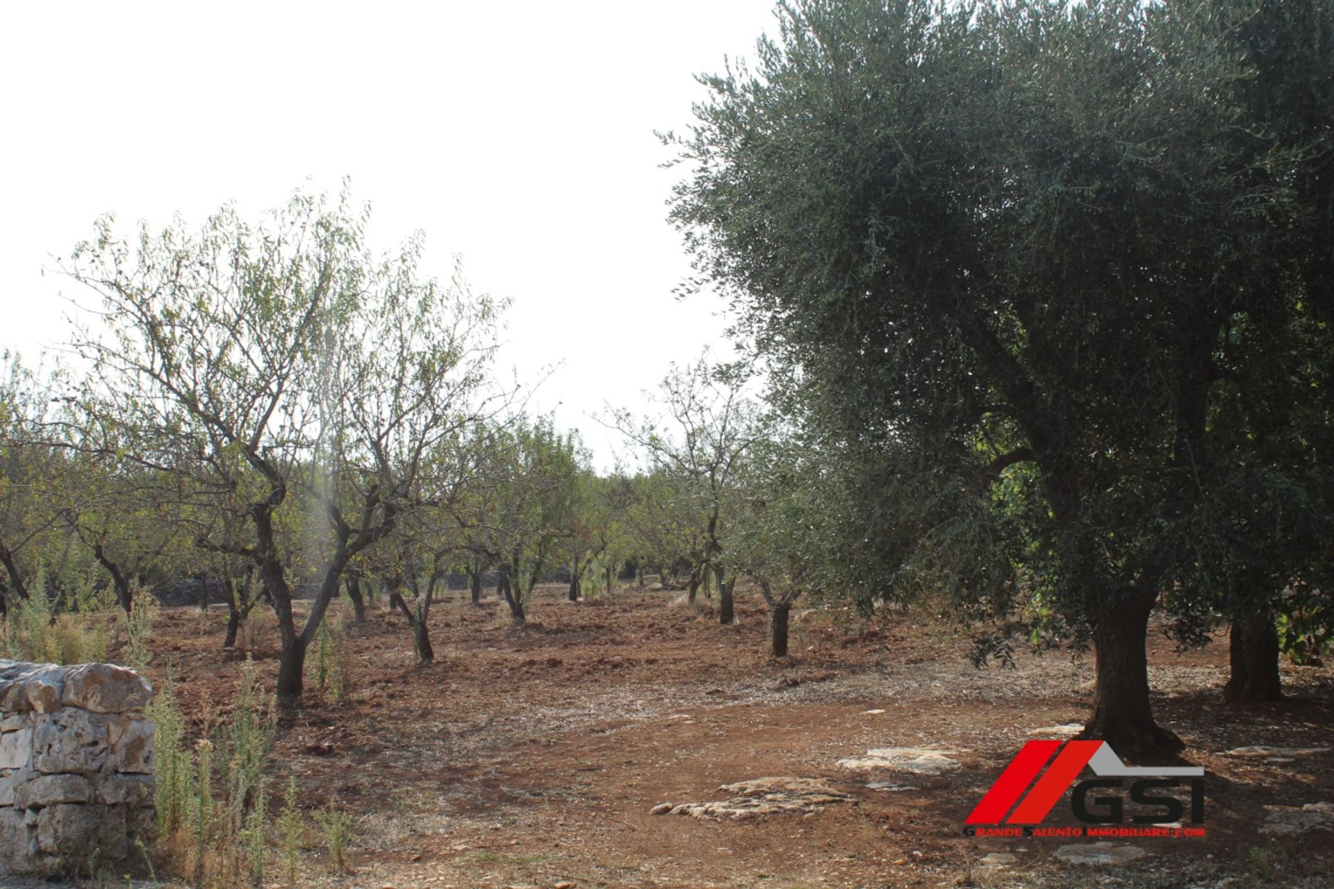 Tierra en Ostúni, Apulia 10699800