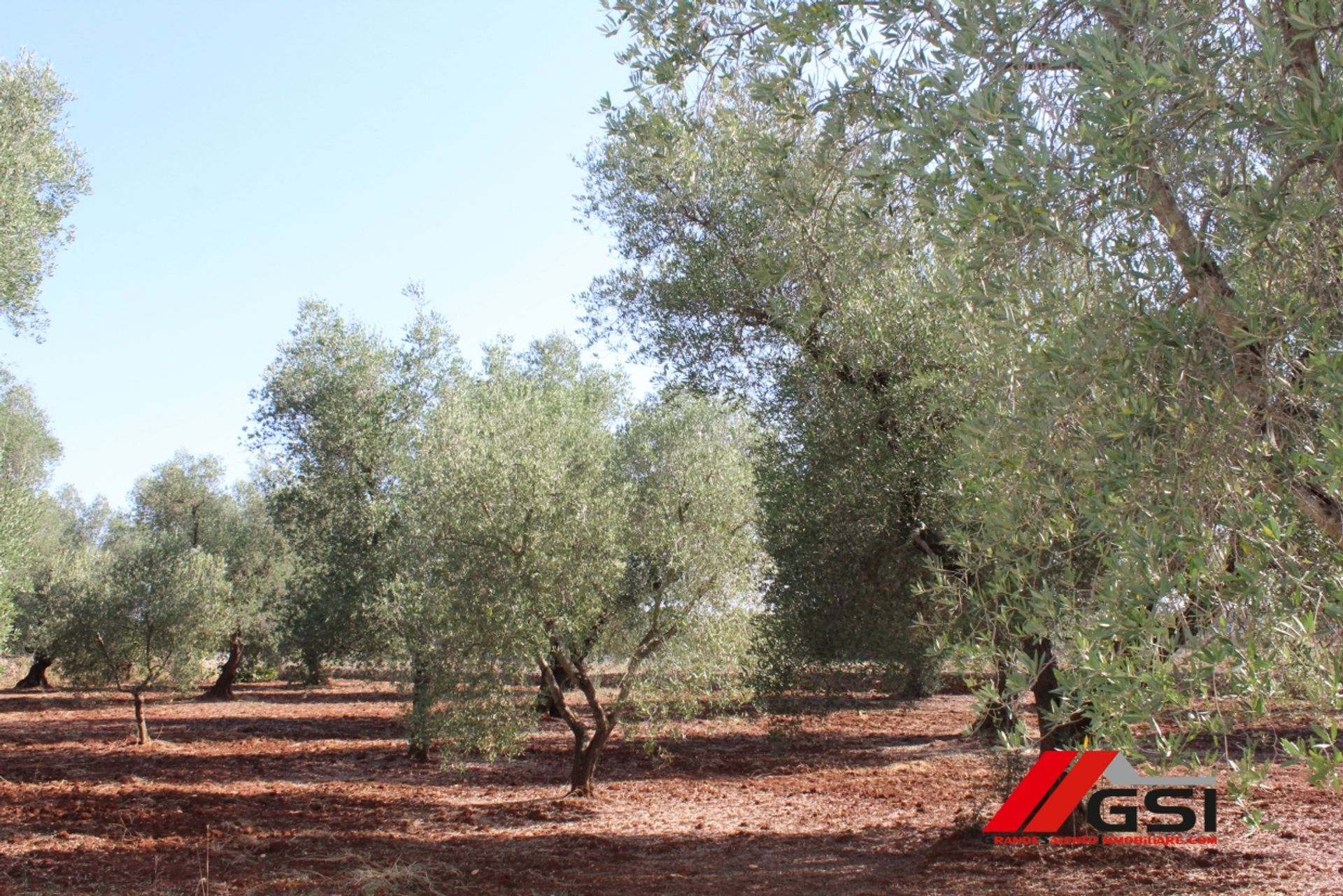 casa en Ceglie Messapica, Apulia 10699806