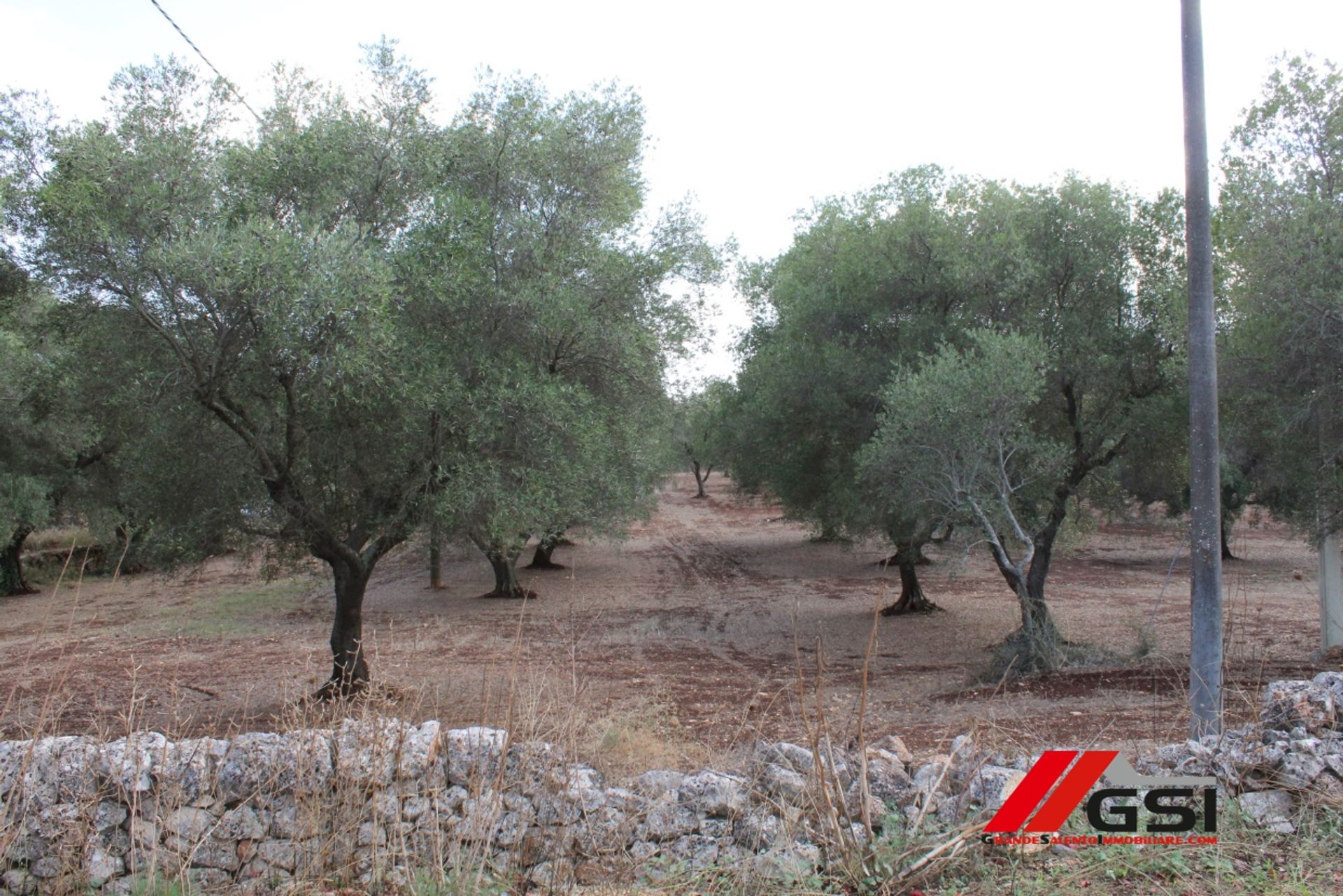 Terre dans San Michele Salentino, Apulia 10699808