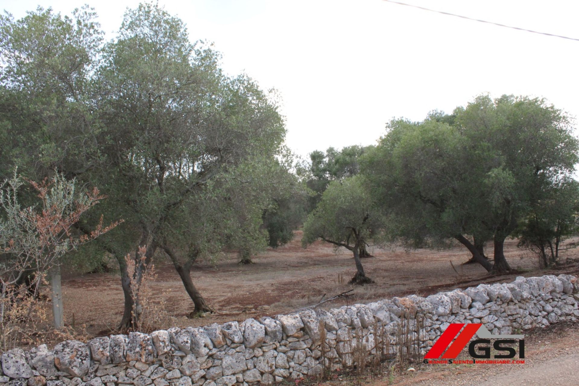 Tierra en San Miguel Salentino, Apulia 10699808