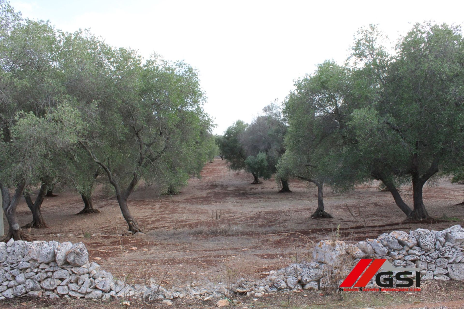 Tierra en San Miguel Salentino, Apulia 10699808