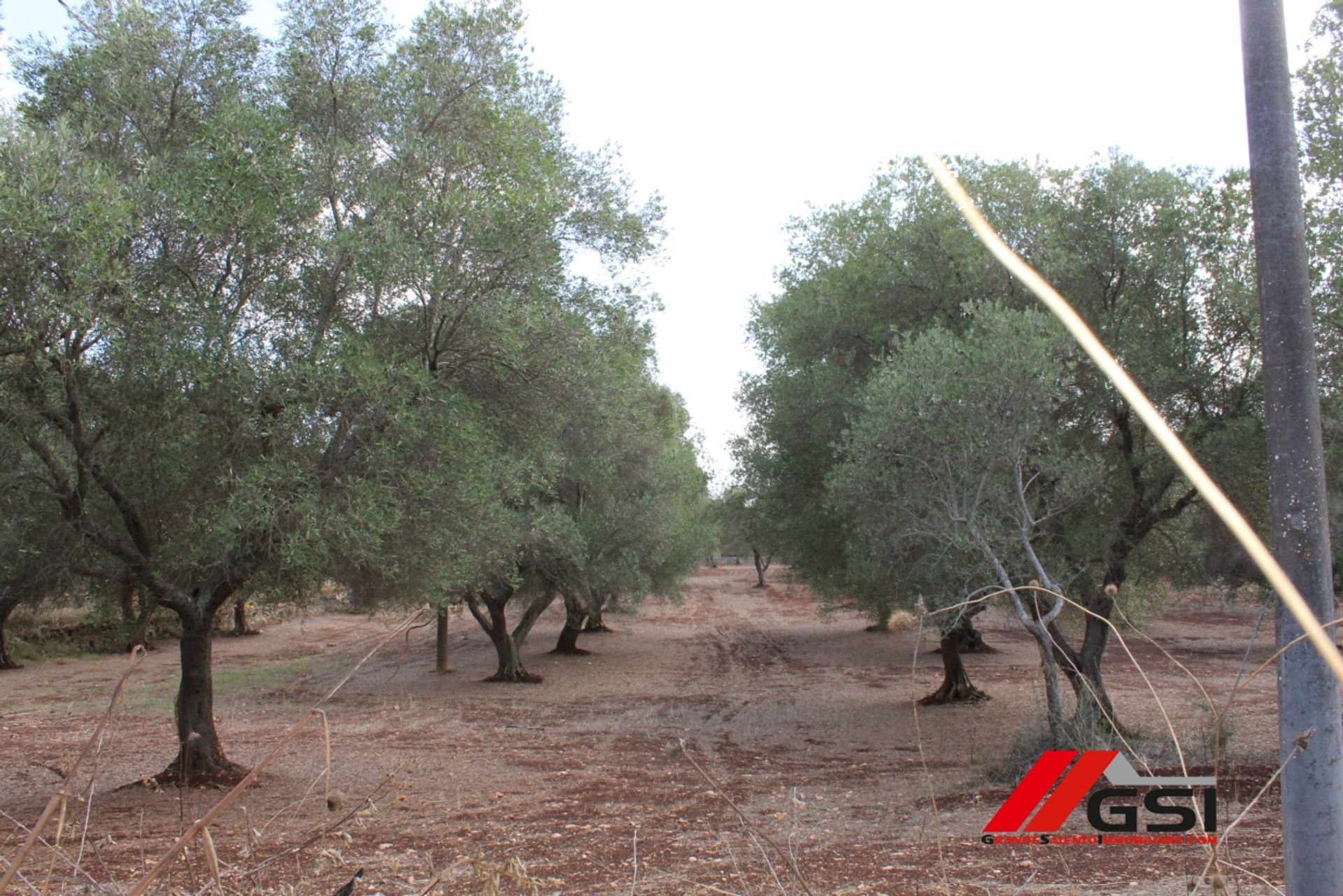 Terre dans San Michele Salentino, Apulia 10699808