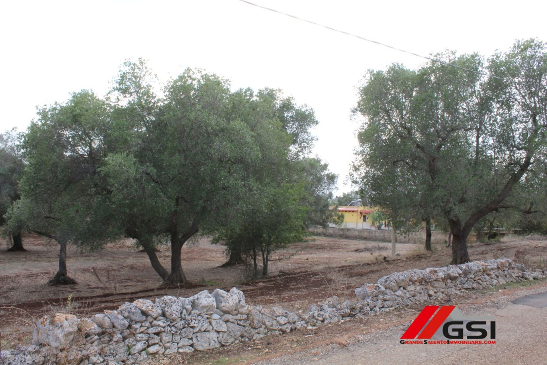 Tanah dalam San Michele Salentino, Apulia 10699808