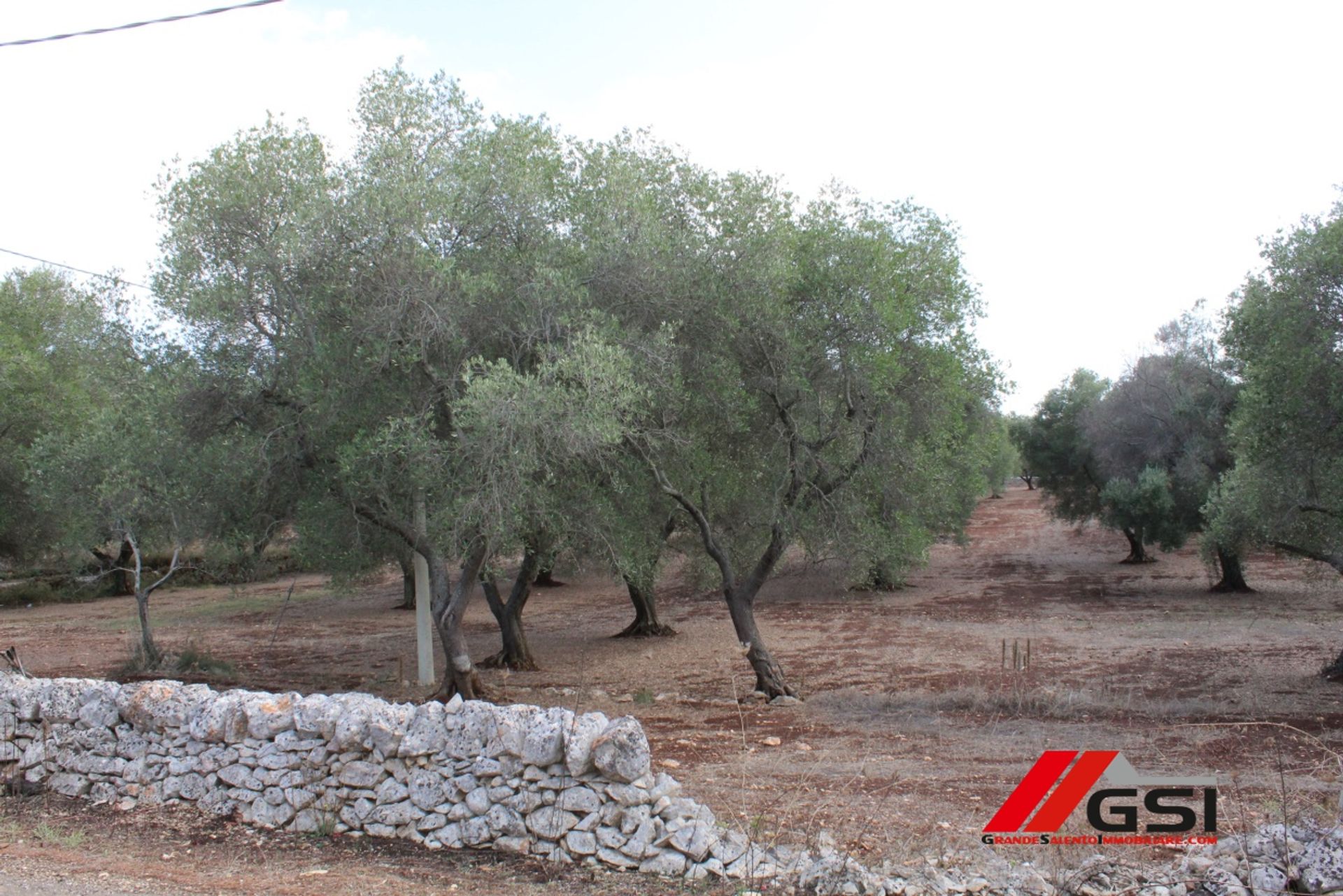 Tanah dalam San Michele Salentino, Apulia 10699808