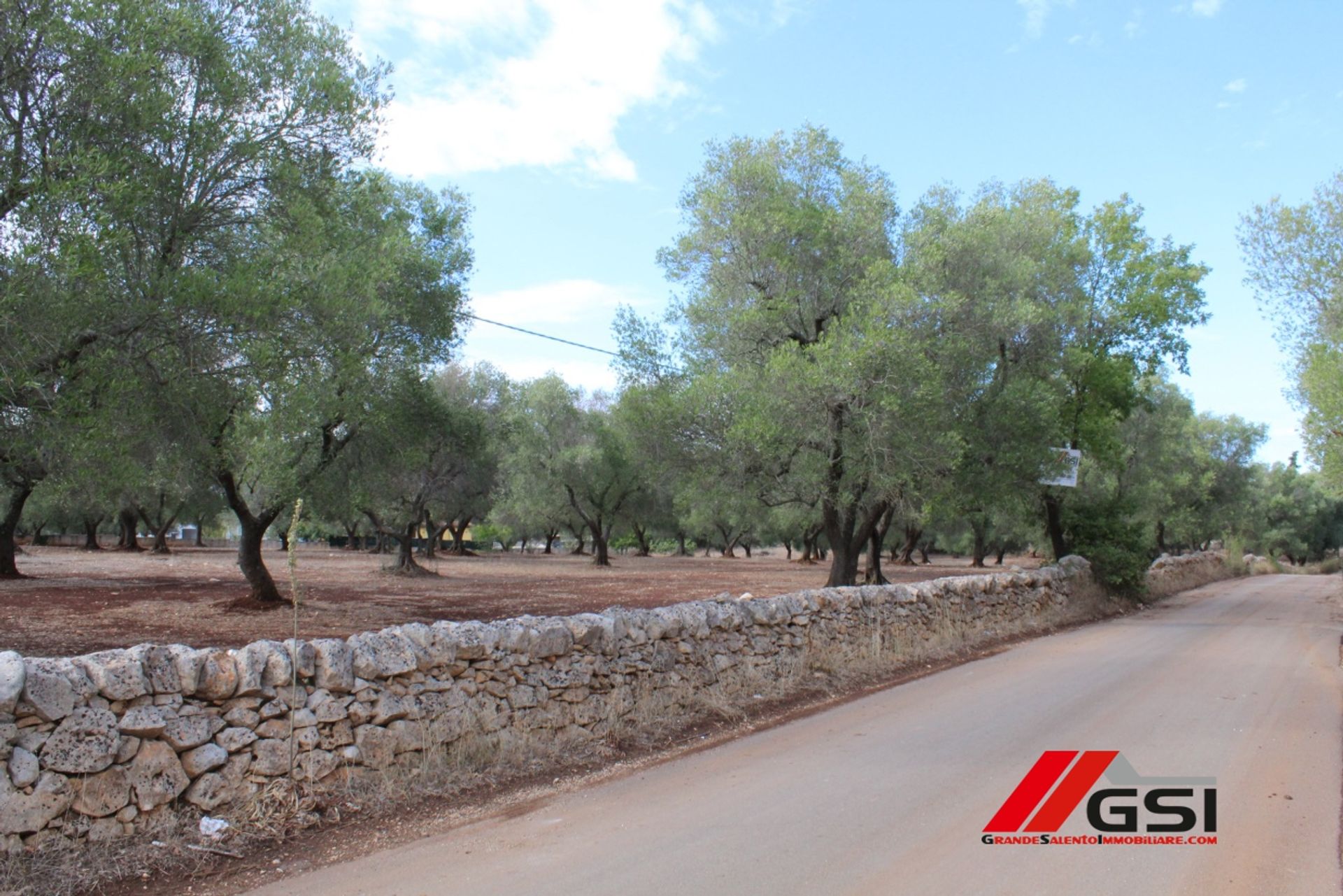 Tanah dalam San Michele Salentino, Apulia 10699808