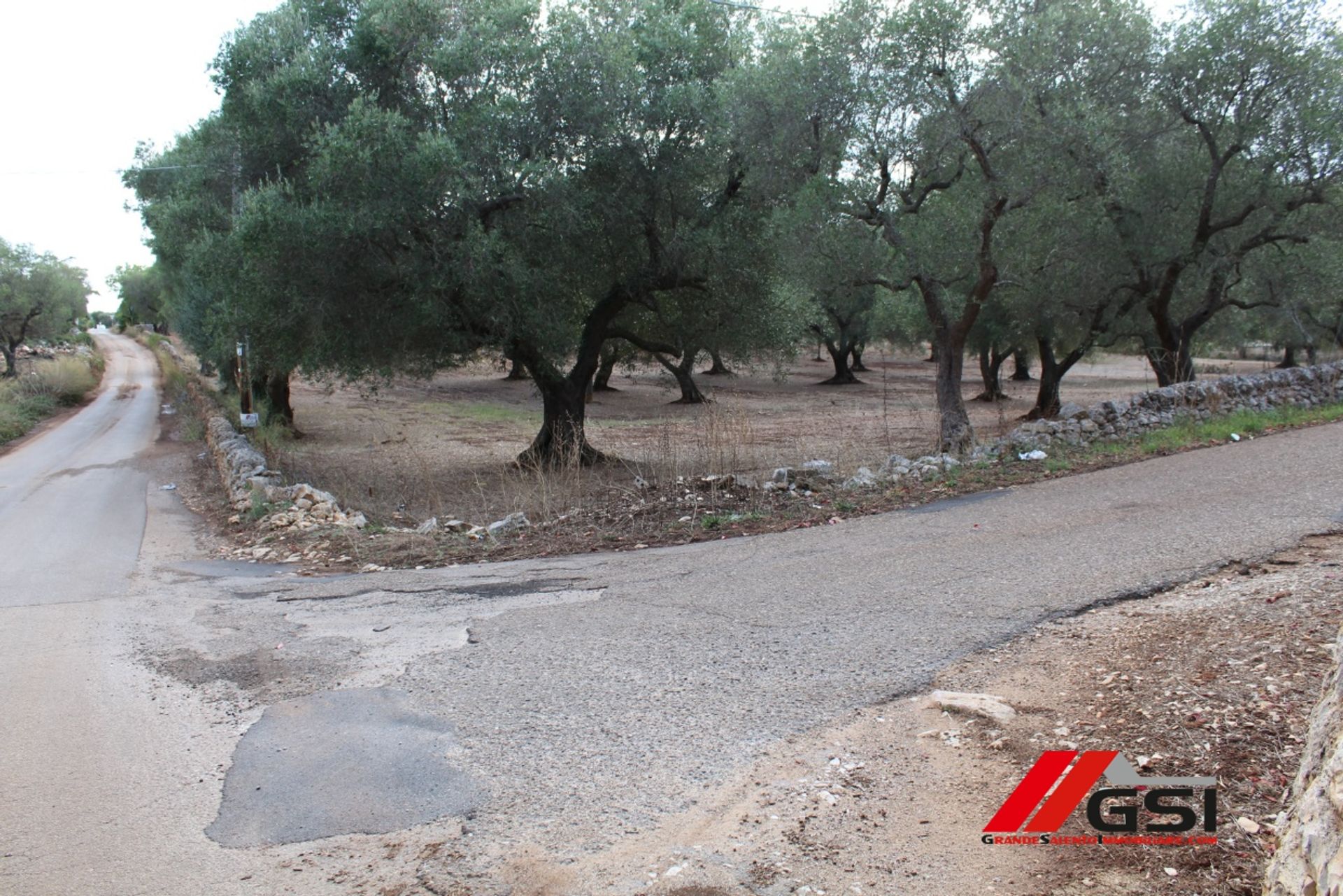 Tanah dalam San Michele Salentino, Apulia 10699808