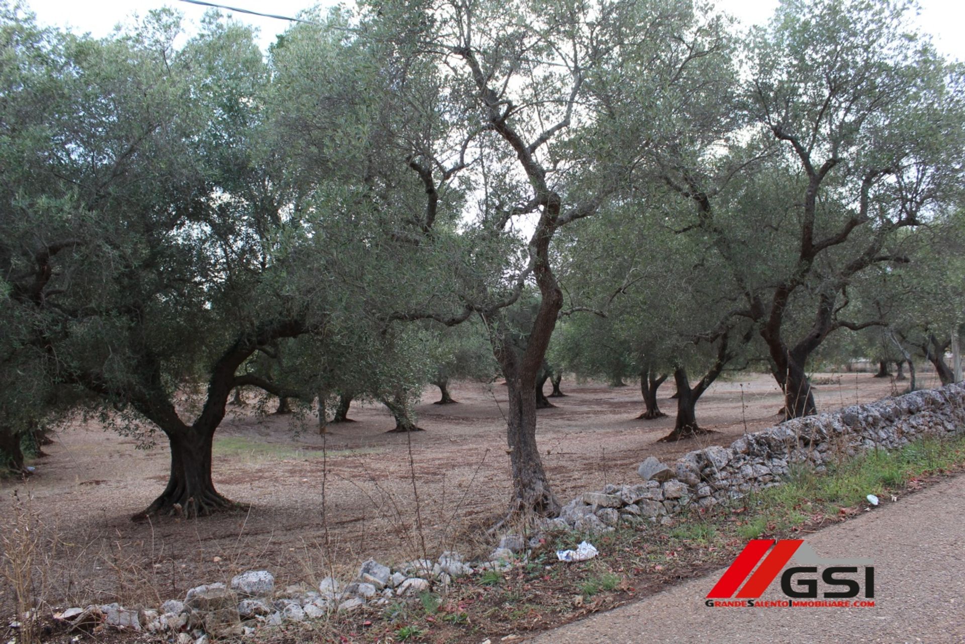 土地 在 San Michele Salentino, Apulia 10699808