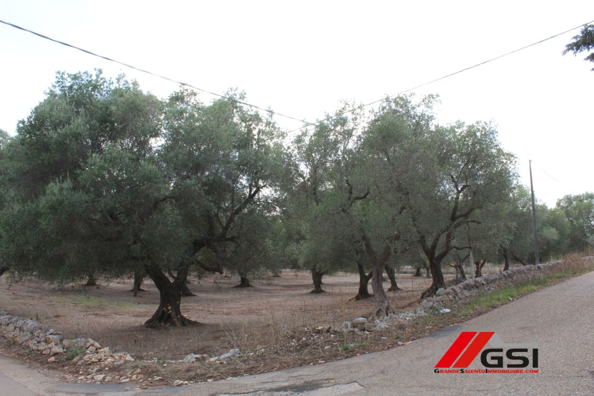 Terre dans San Michele Salentino, Pouilles 10699808