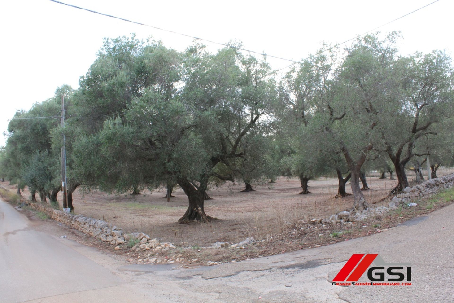 Tierra en San Miguel Salentino, Apulia 10699808