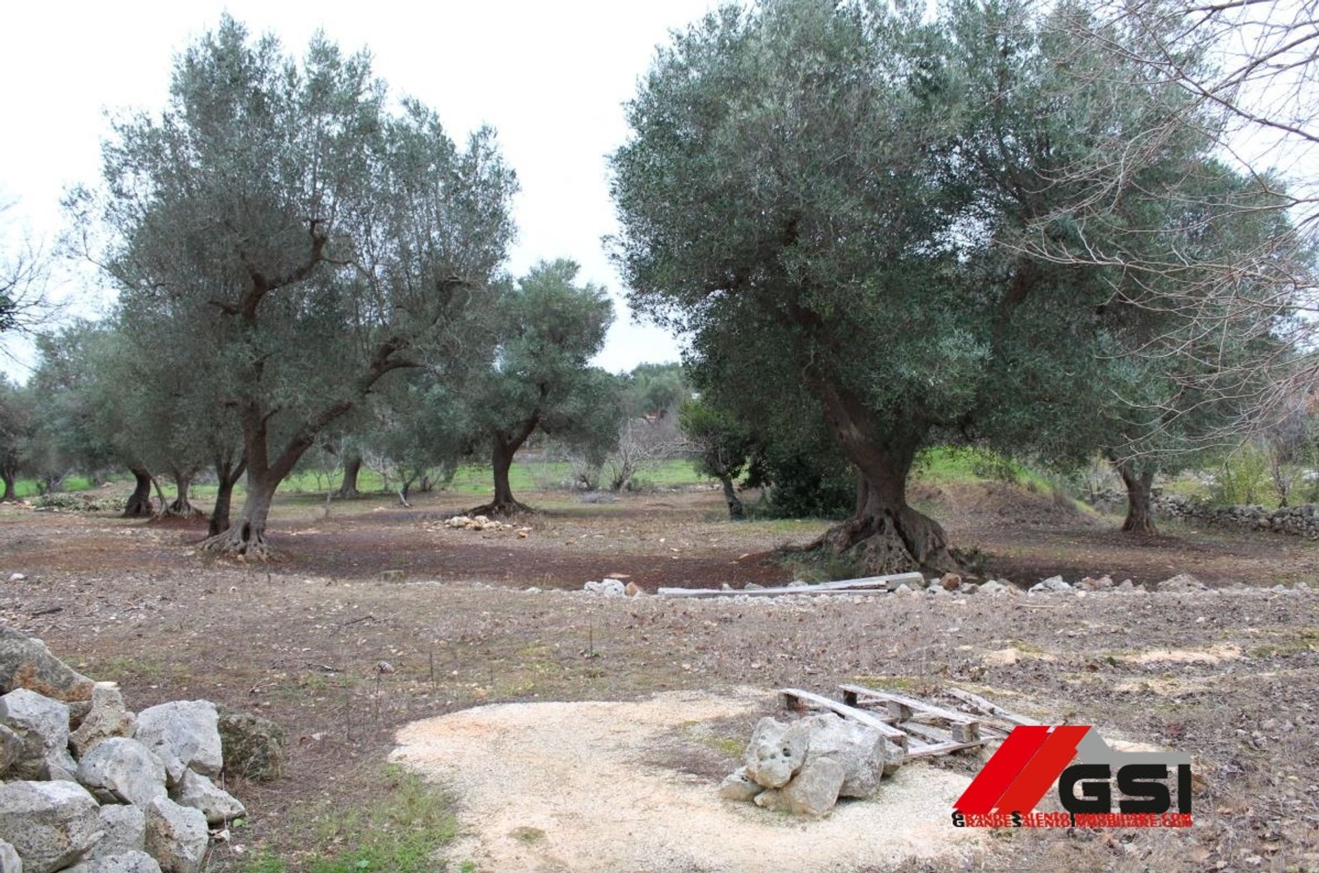 Tierra en San Vito dei Normanni, Apulia 10699811