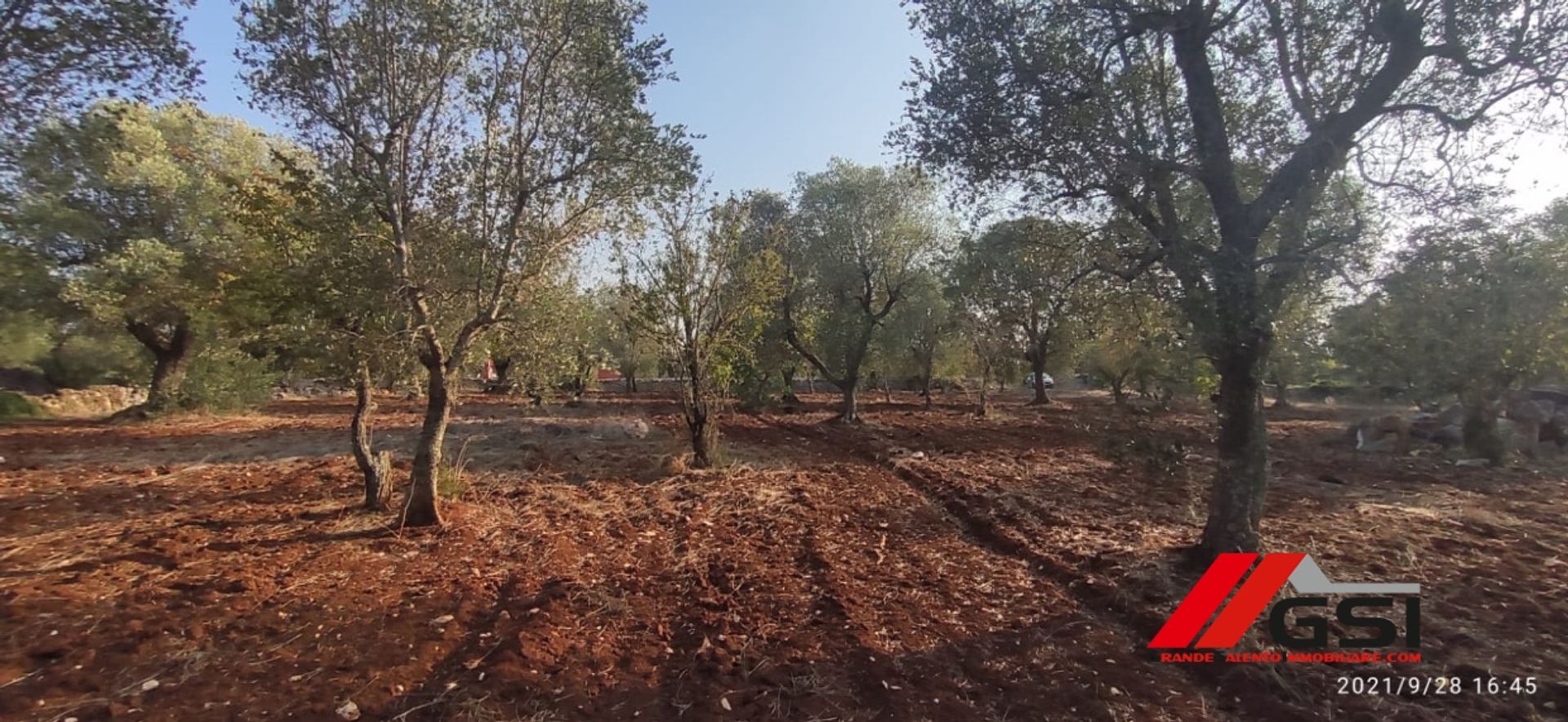 Tierra en San Vito dei Normanni, Apulia 10699811