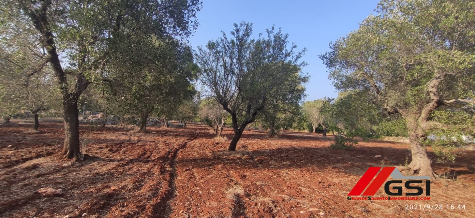 Tierra en San Vito dei Normanni, Apulia 10699811