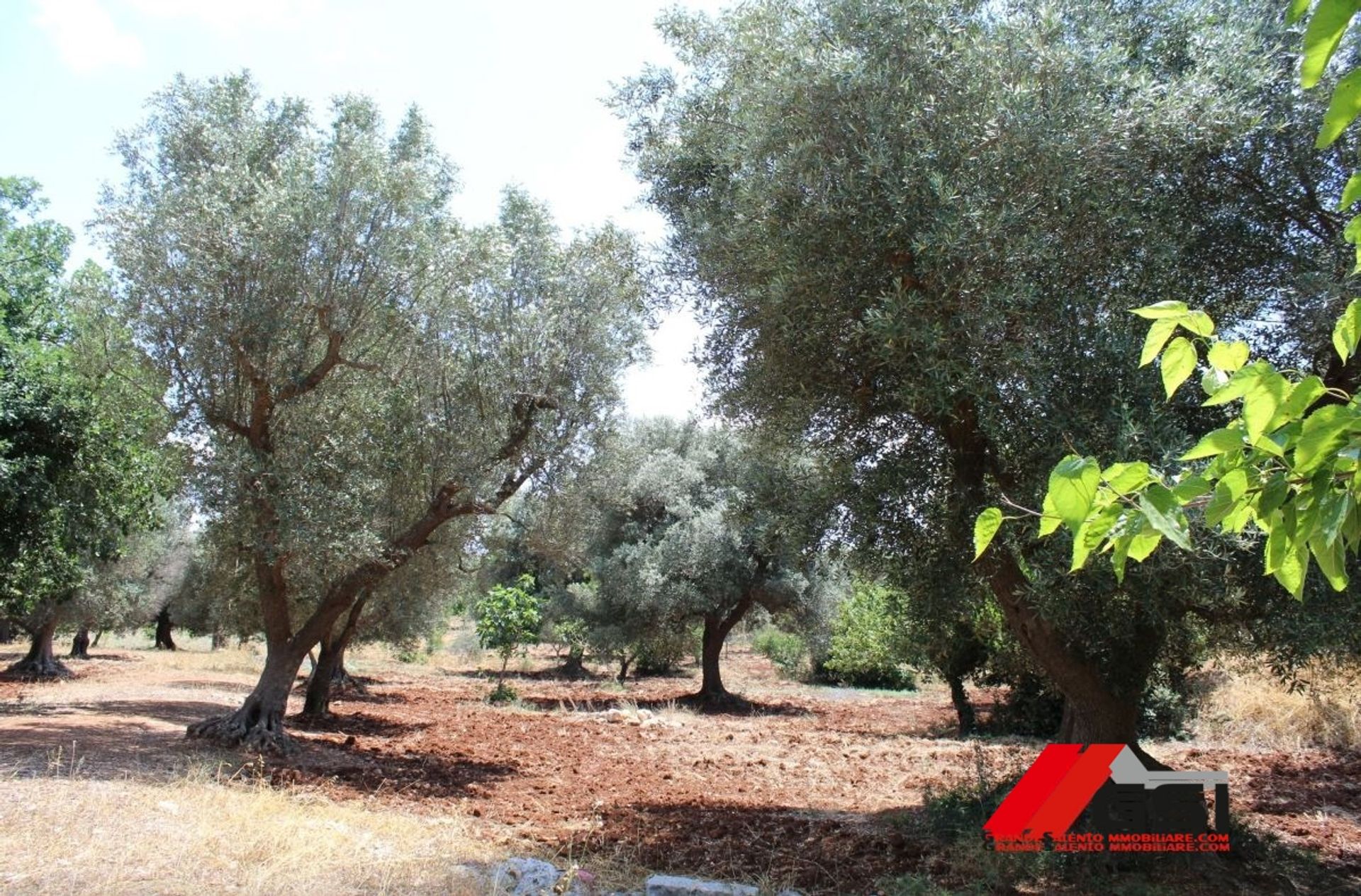 Tierra en San Vito dei Normanni, Apulia 10699811