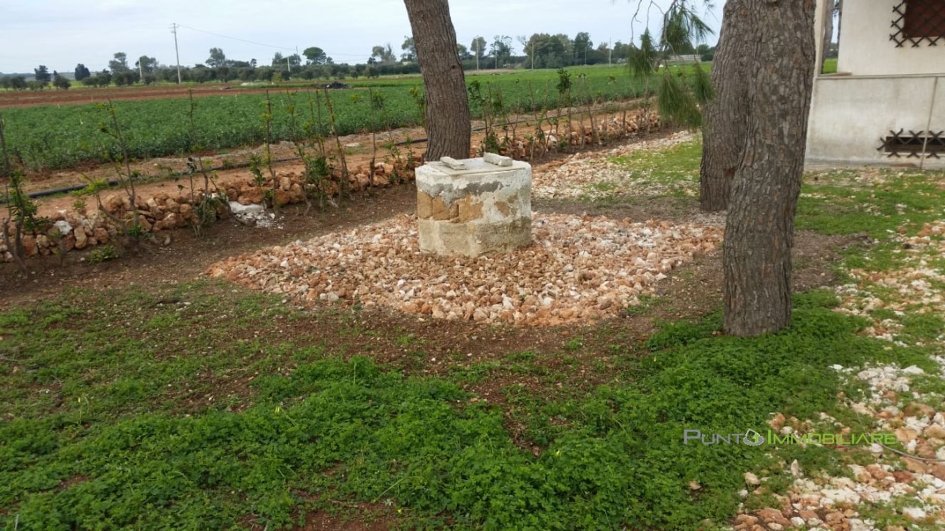 loger dans Carovigno, Apulia 10699812