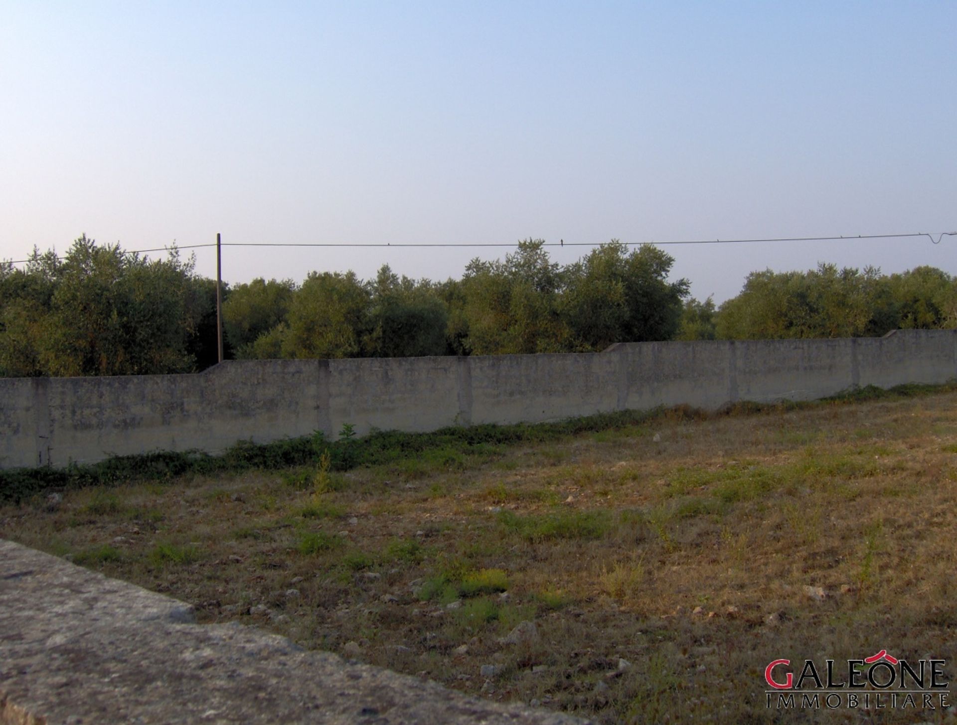 Land i Melendugno, Puglia 10699861