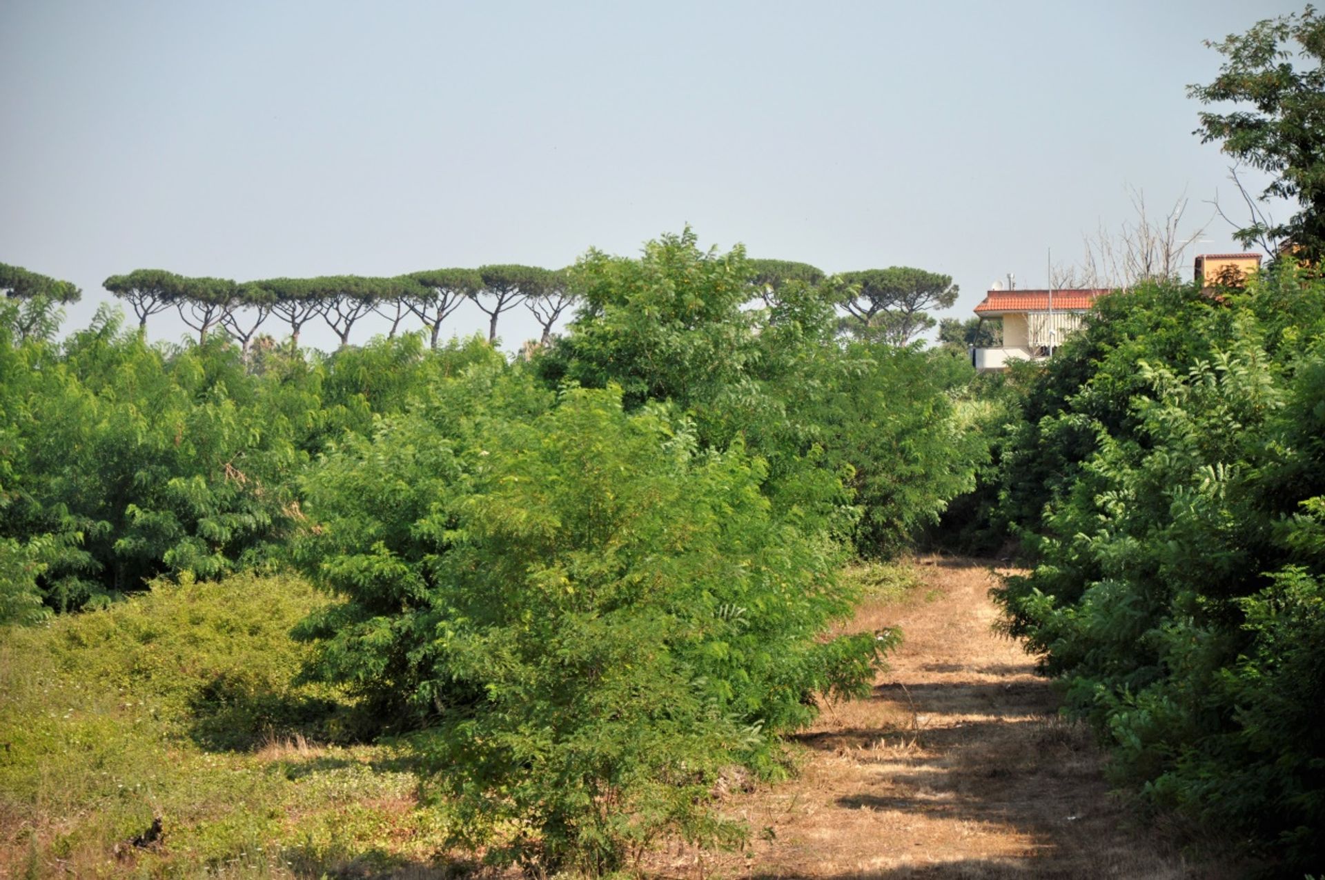 土地 在 Giugliano in Campania, Campania 10699891