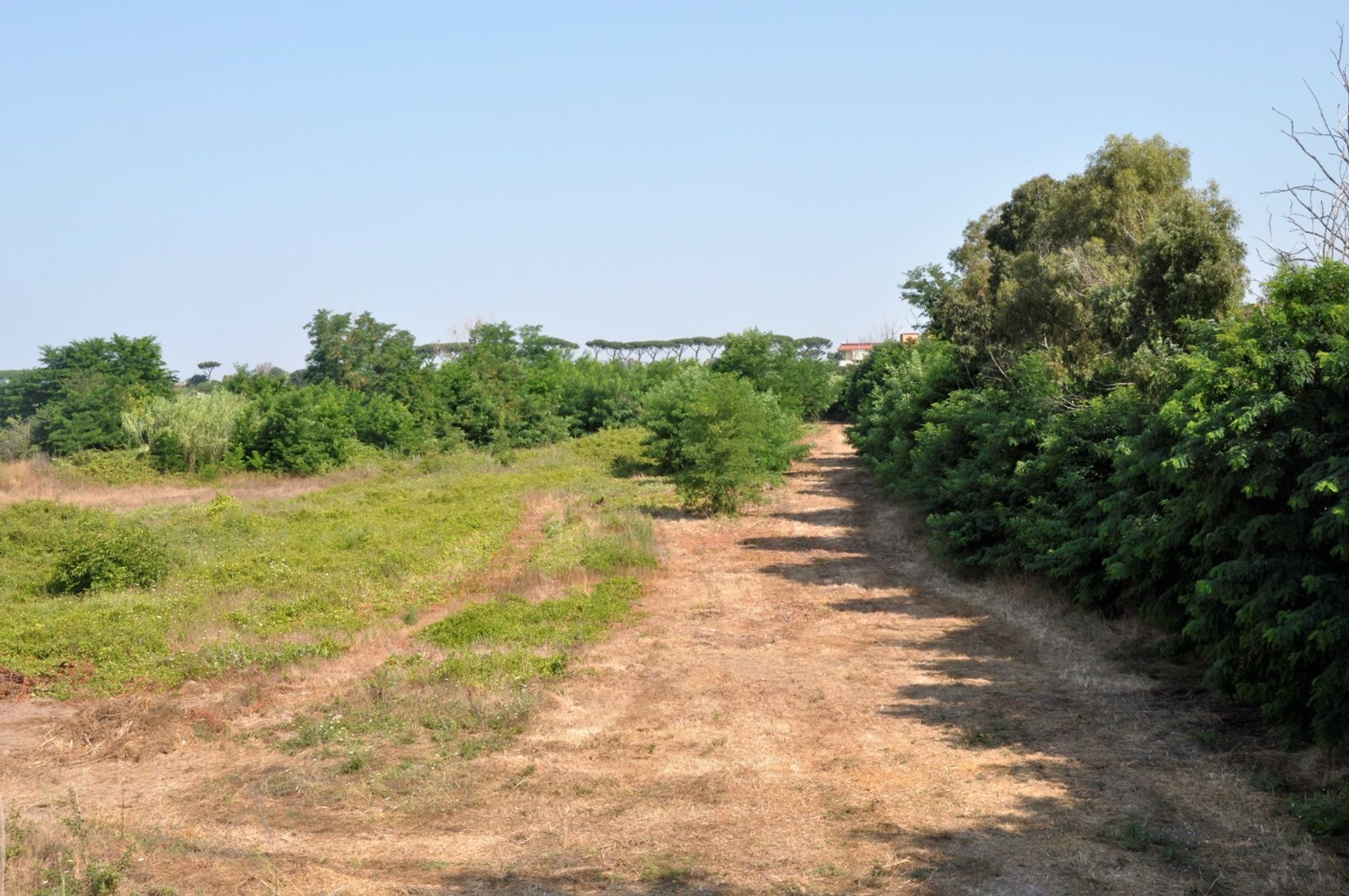 Terre dans Giugliano en Campanie, Campanie 10699891