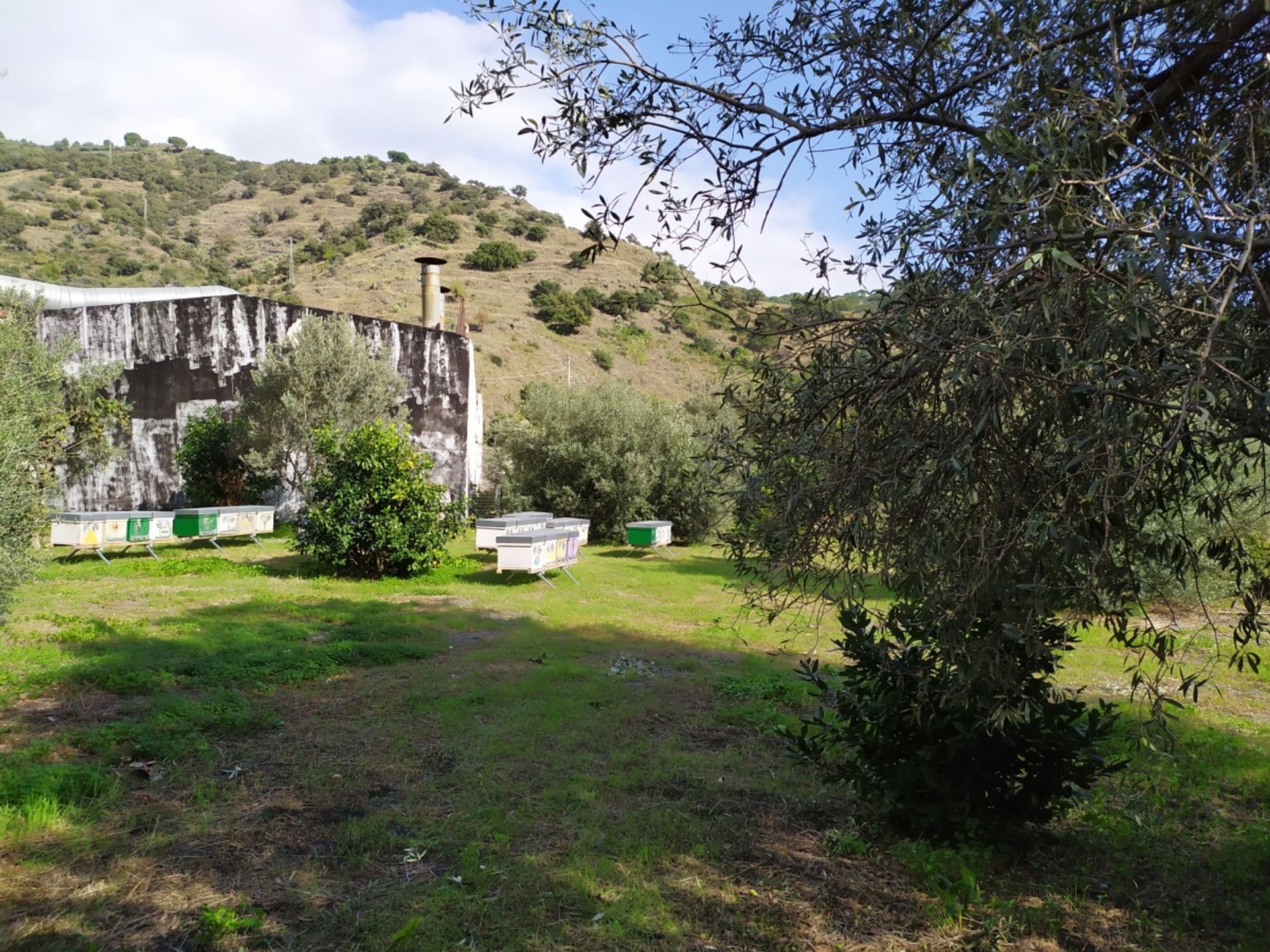 Terre dans Sainte Thérèse de Riva, Sicile 10699934