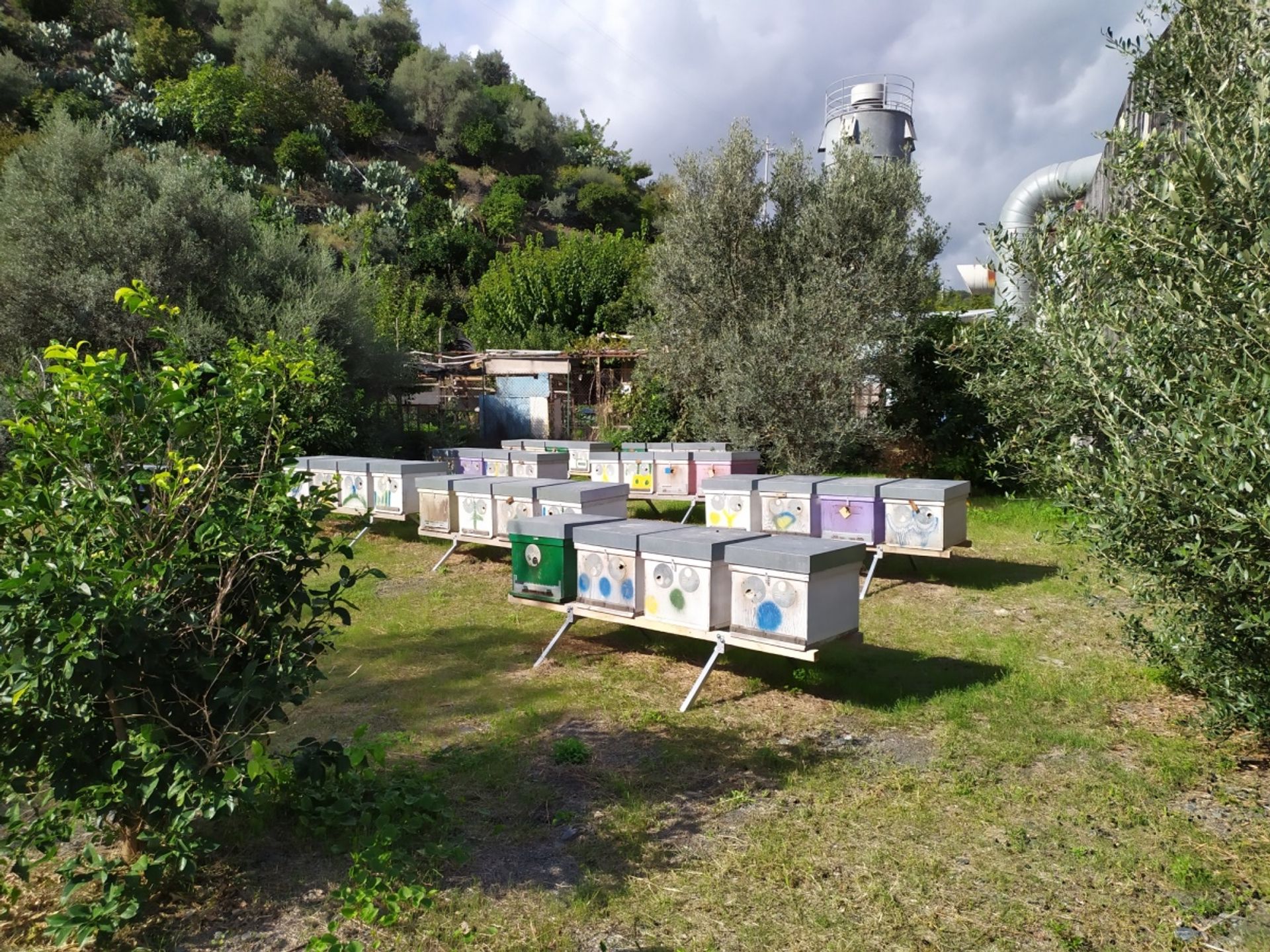 Terre dans Sainte Thérèse de Riva, Sicile 10699934