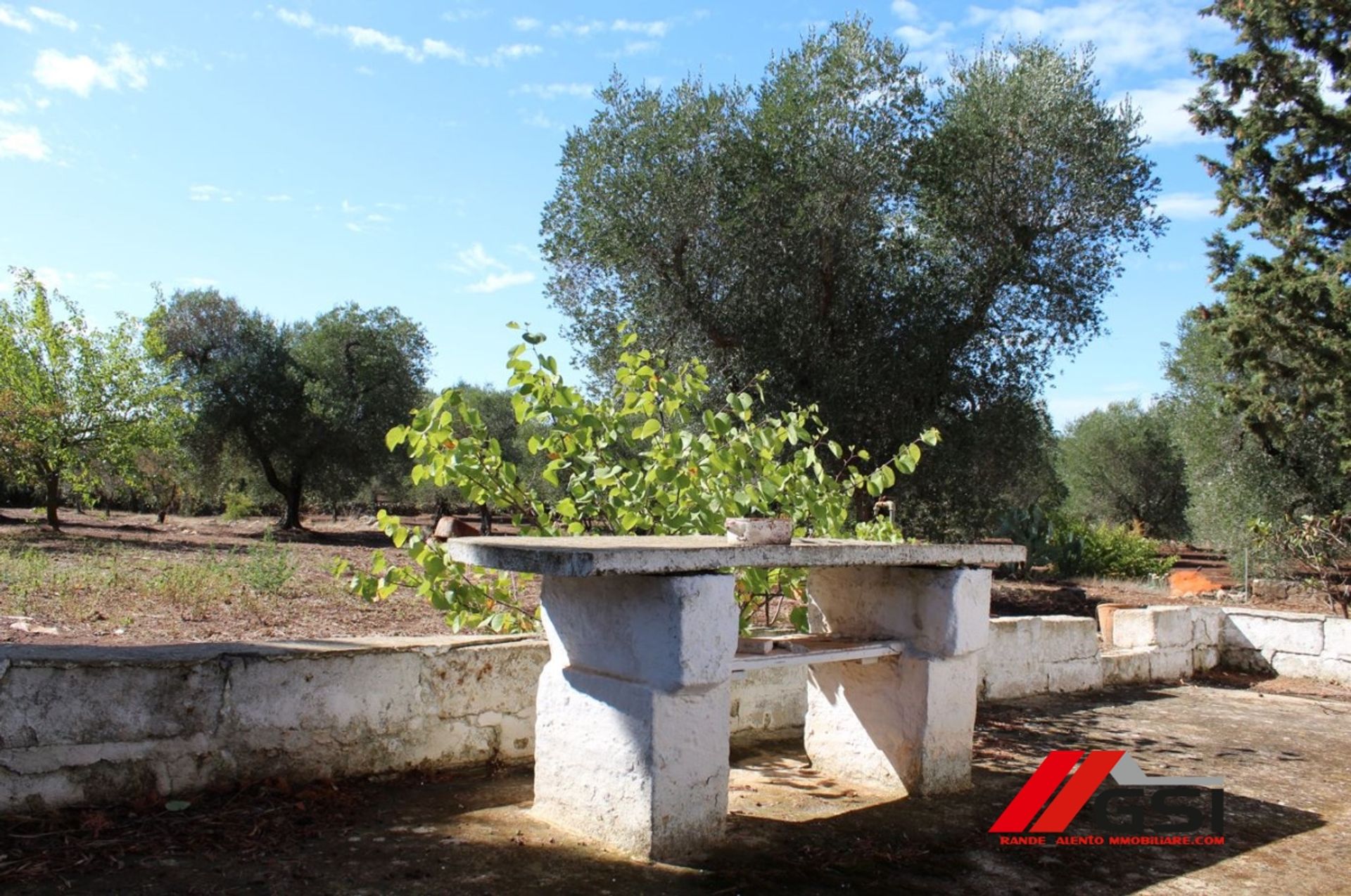 Rumah di San Michele Salentino, Apulia 10700014