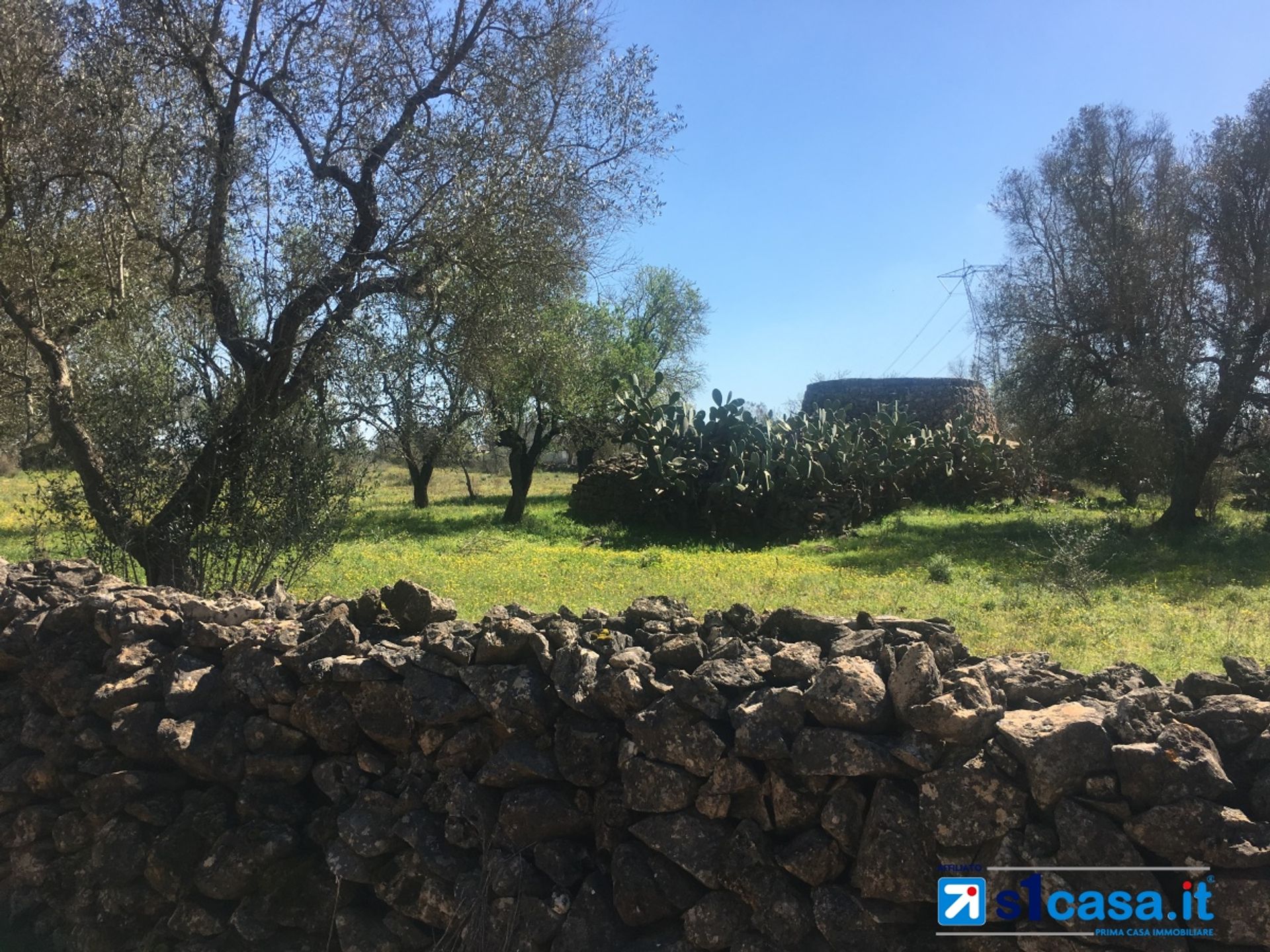 Land i Galatina, Puglia 10700027