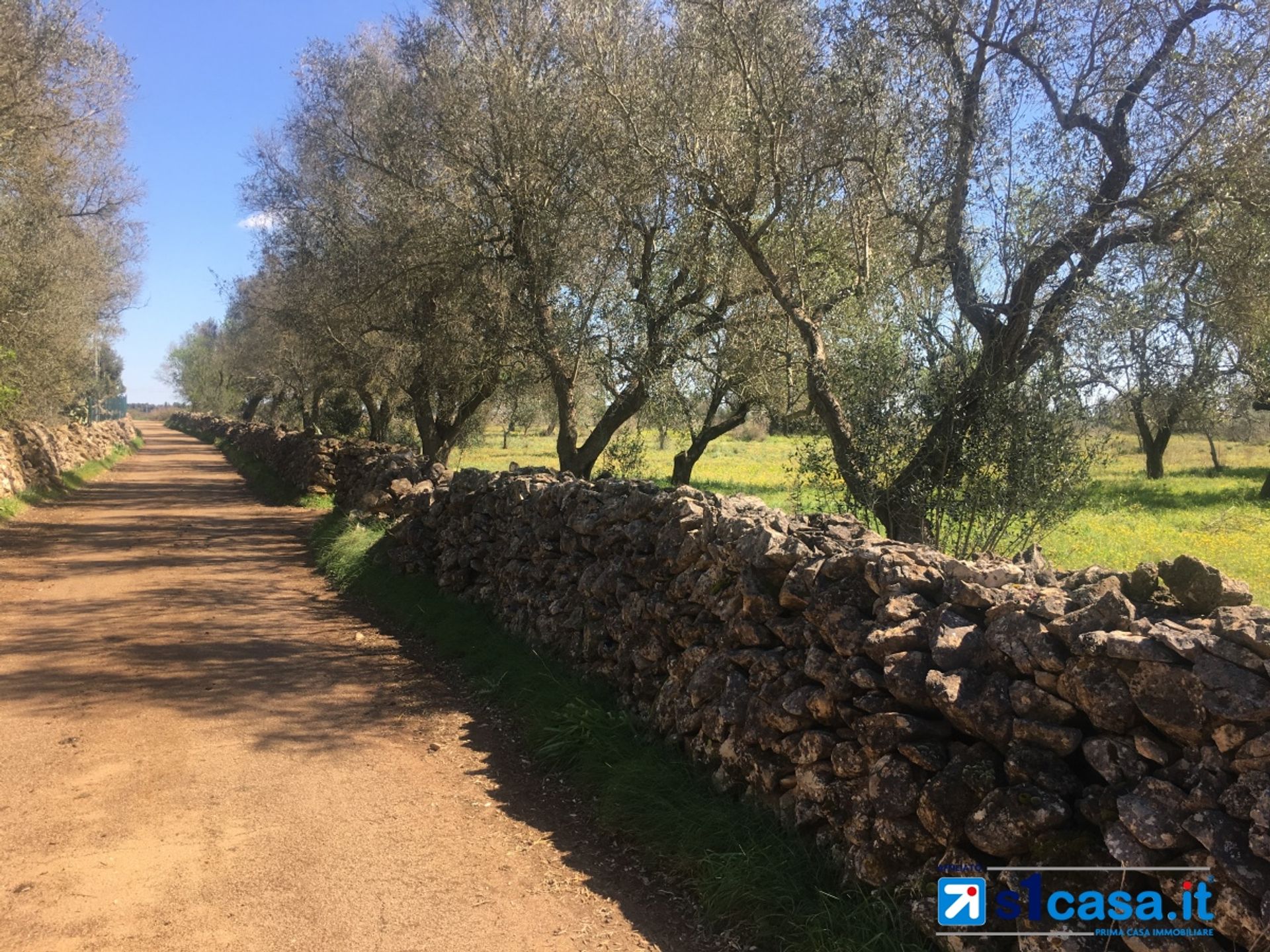 Tanah di Galatina, Apulia 10700027