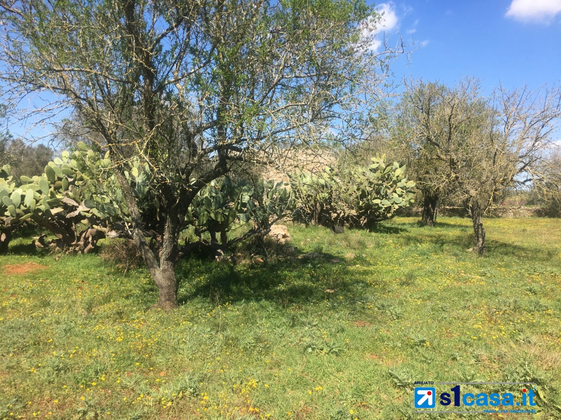 Land i Galatina, Puglia 10700027