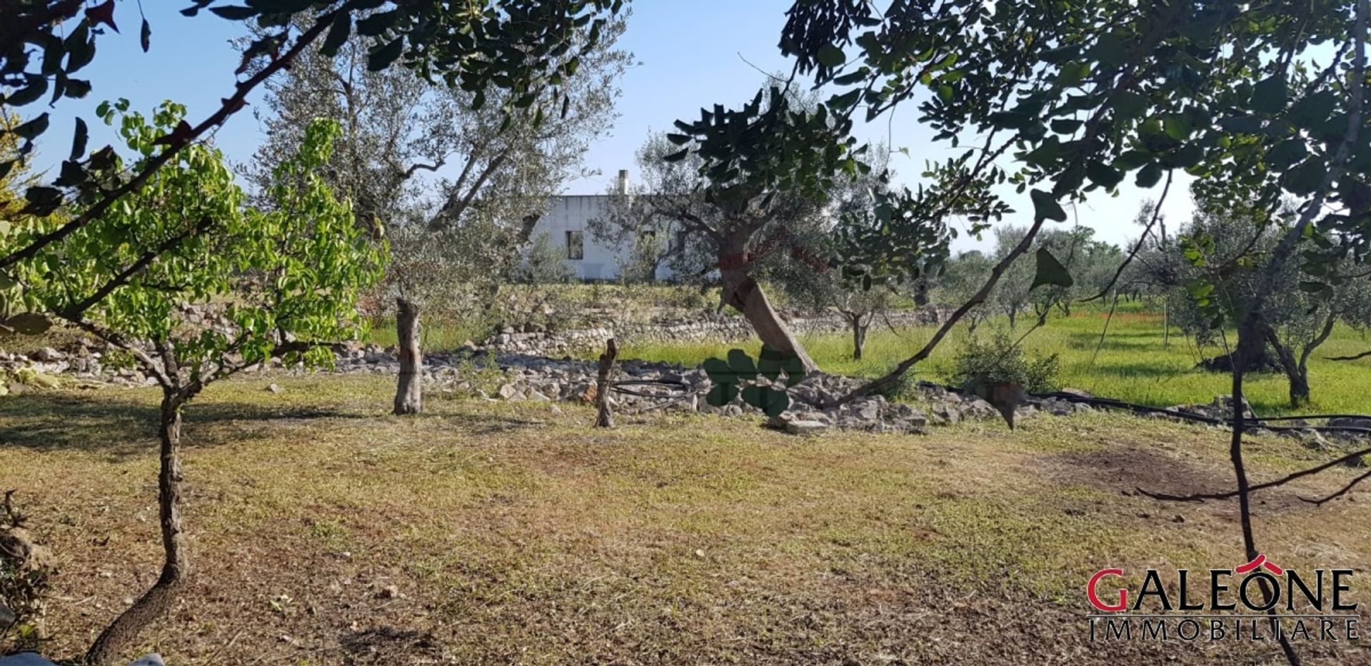 Hus i Barbarano, Puglia 10700046