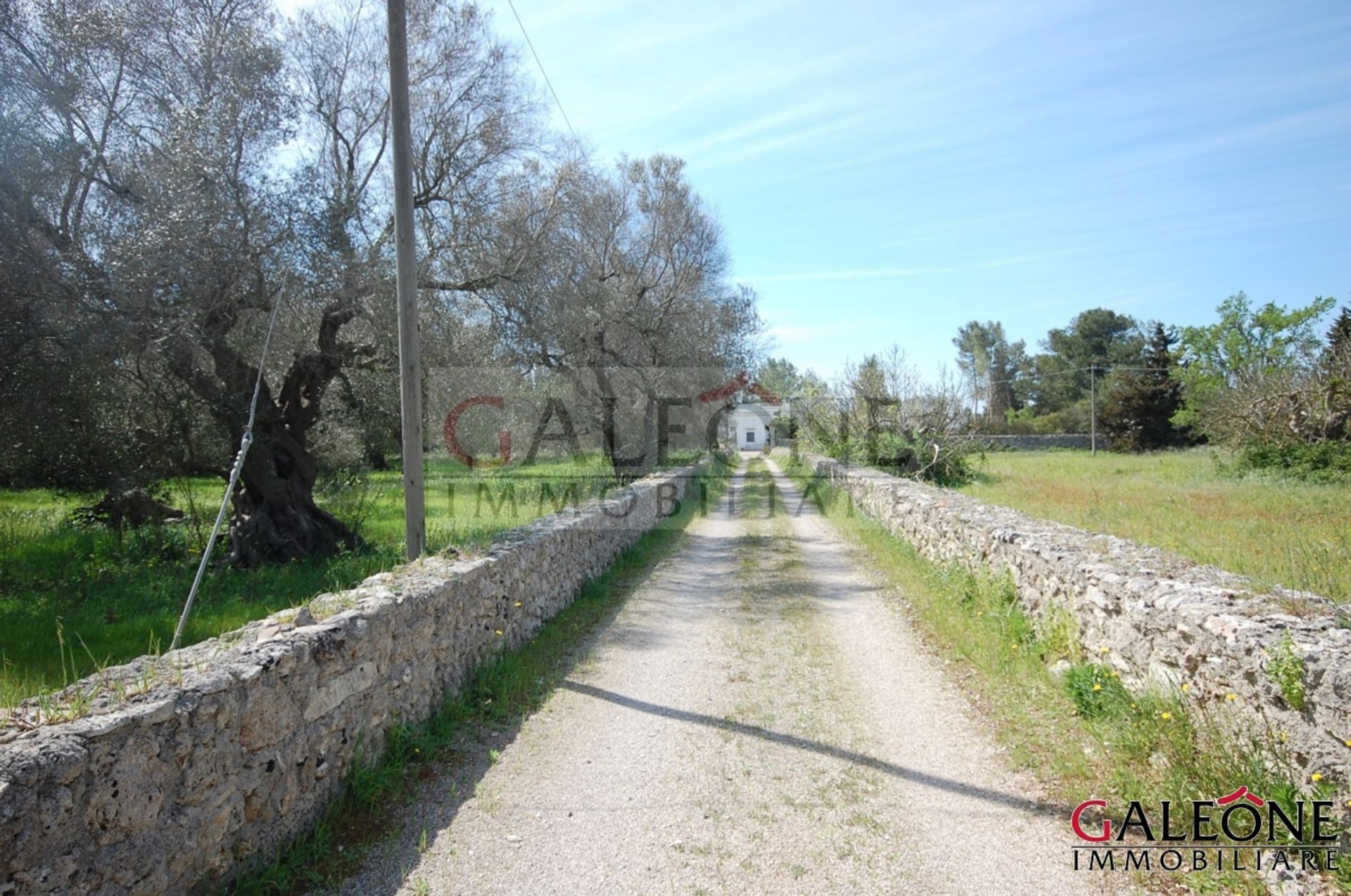 Промислові в San Donato di Lecce, Apulia 10700050