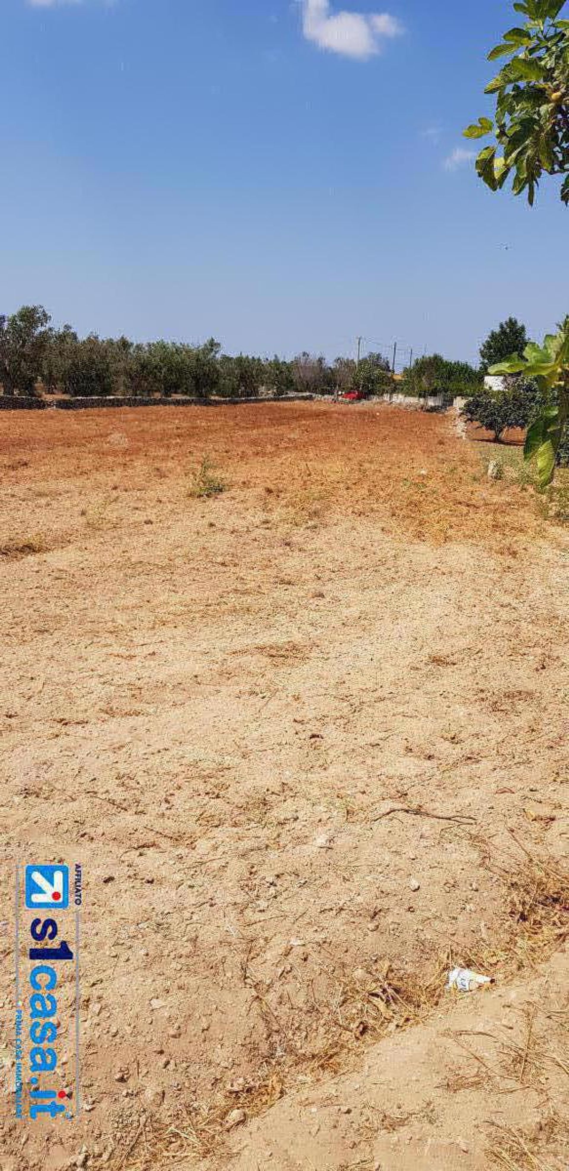 Land in Galatone, Apulia 10700058