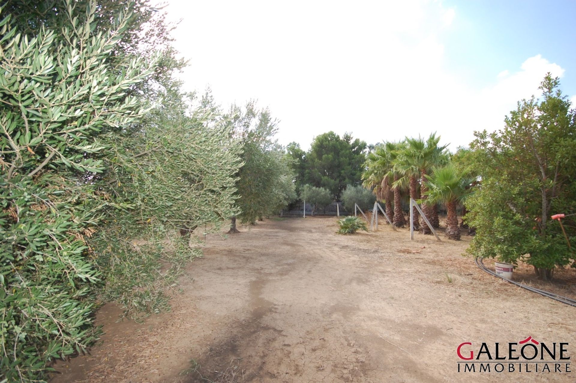 Land i Casarano, Puglia 10700068