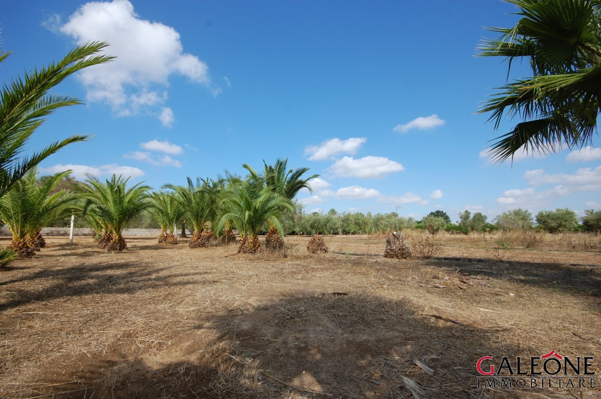 ארץ ב Casarano, Apulia 10700068